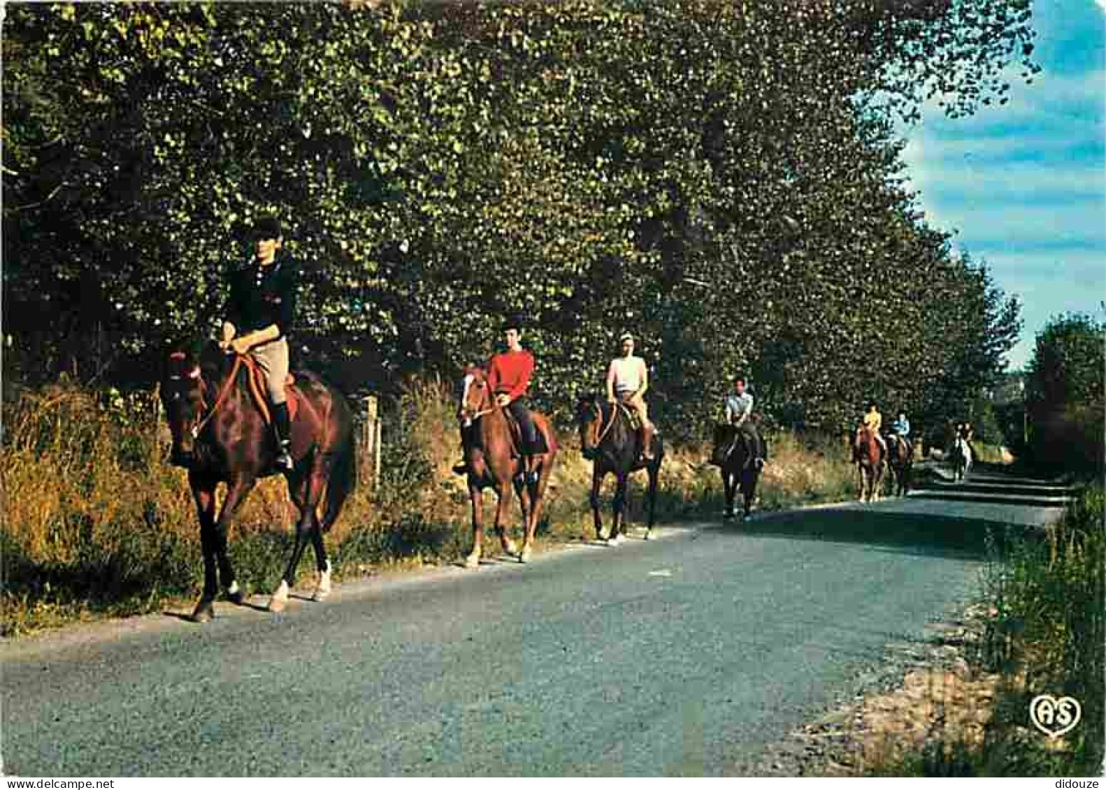 Animaux - Chevaux - Promenade Equestre - Voir Scans Recto Verso  - Chevaux