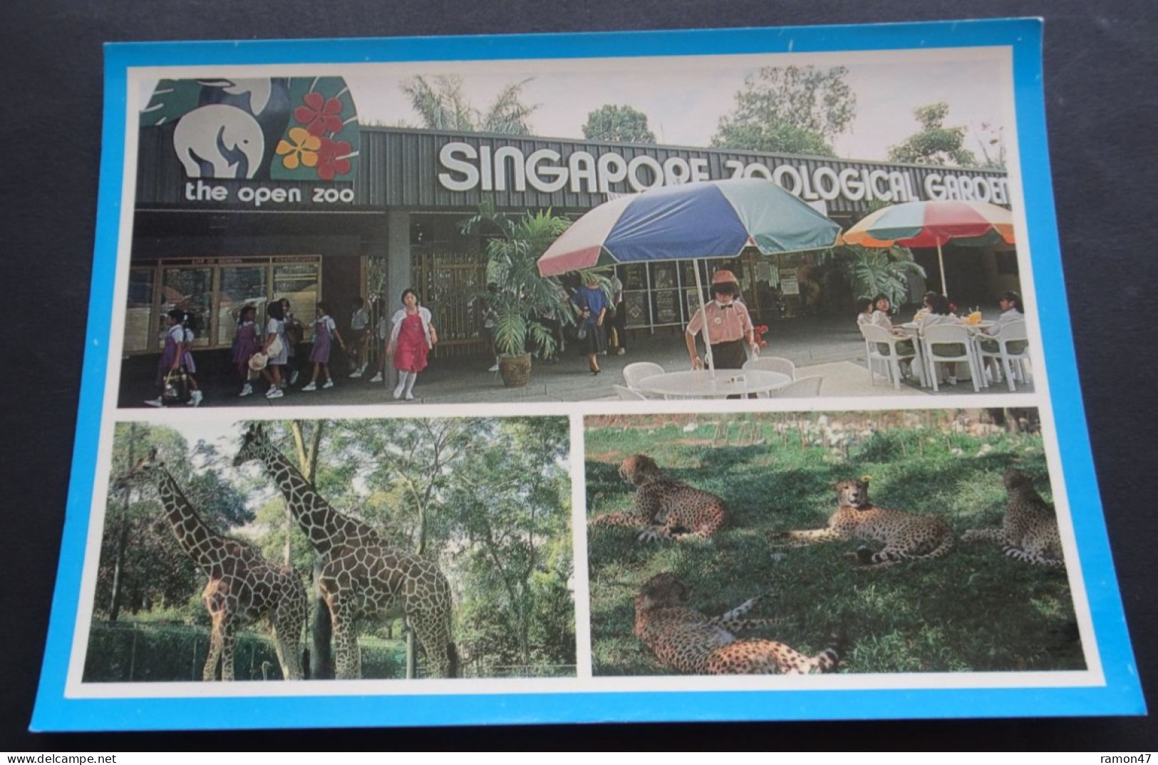 Singapore - Zoological Garden, The Open Zoo - Associated Marketing Agency - Singapour