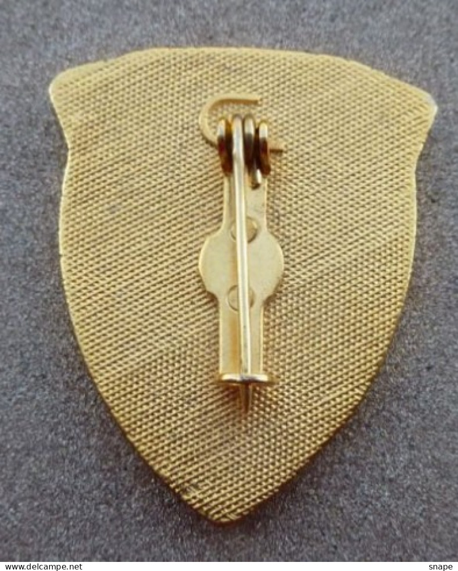 DISTINTIVO Vetrificato A Spilla Operatore Cinema - Esercito Italiano Incarichi - Italian Army Pinned Badge - Used (286) - Army