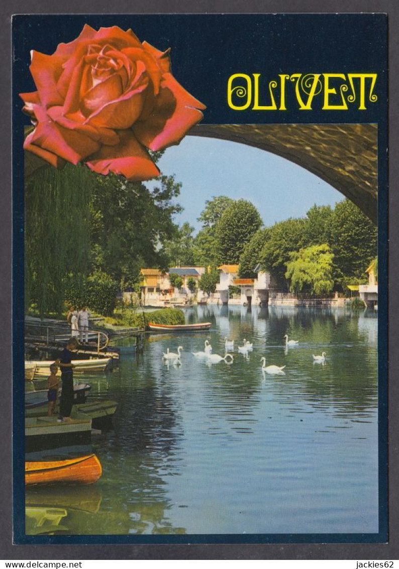 123476/ OLIVET, Les Bords Du Loiret - Other & Unclassified
