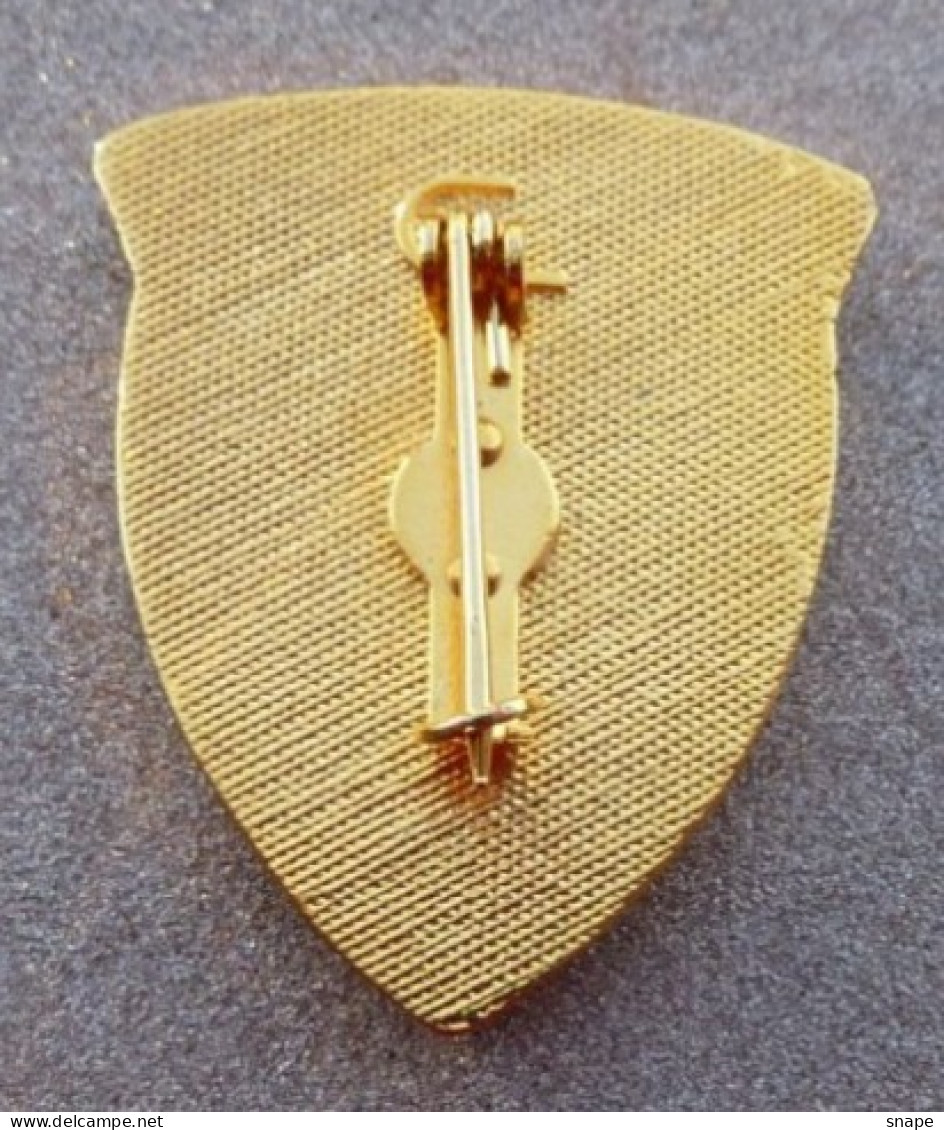 DISTINTIVO Vetrificato A Spilla PILOTA CARRO - Esercito Italiano Incarichi - Italian Army Pinned Badge - Used (286) - Hueste