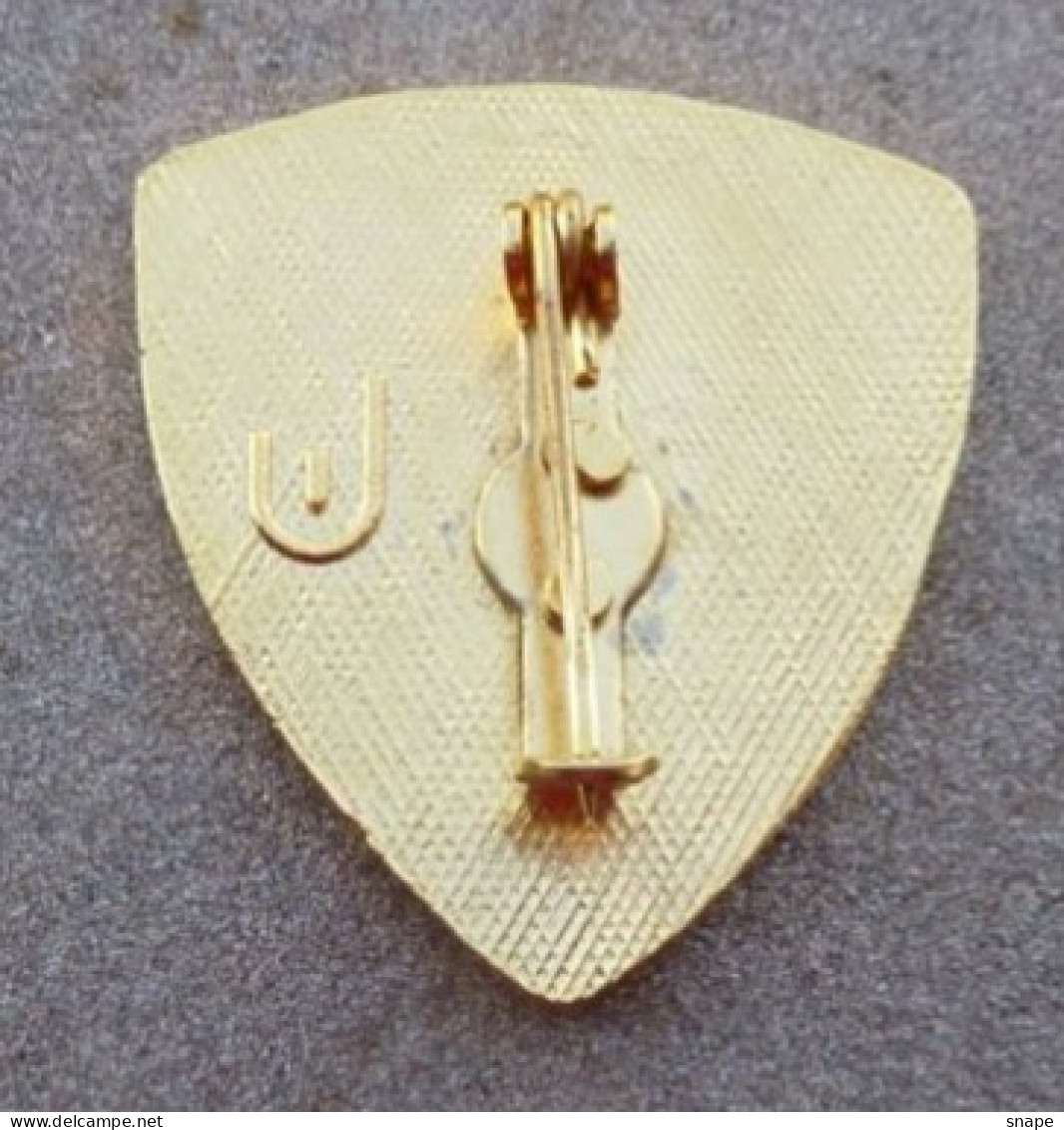 DISTINTIVO  A Spilla CONDUTTORE AUTOBLINDO - Esercito Italiano Incarichi - Italian Army Pinned Badge -used (286) - Army