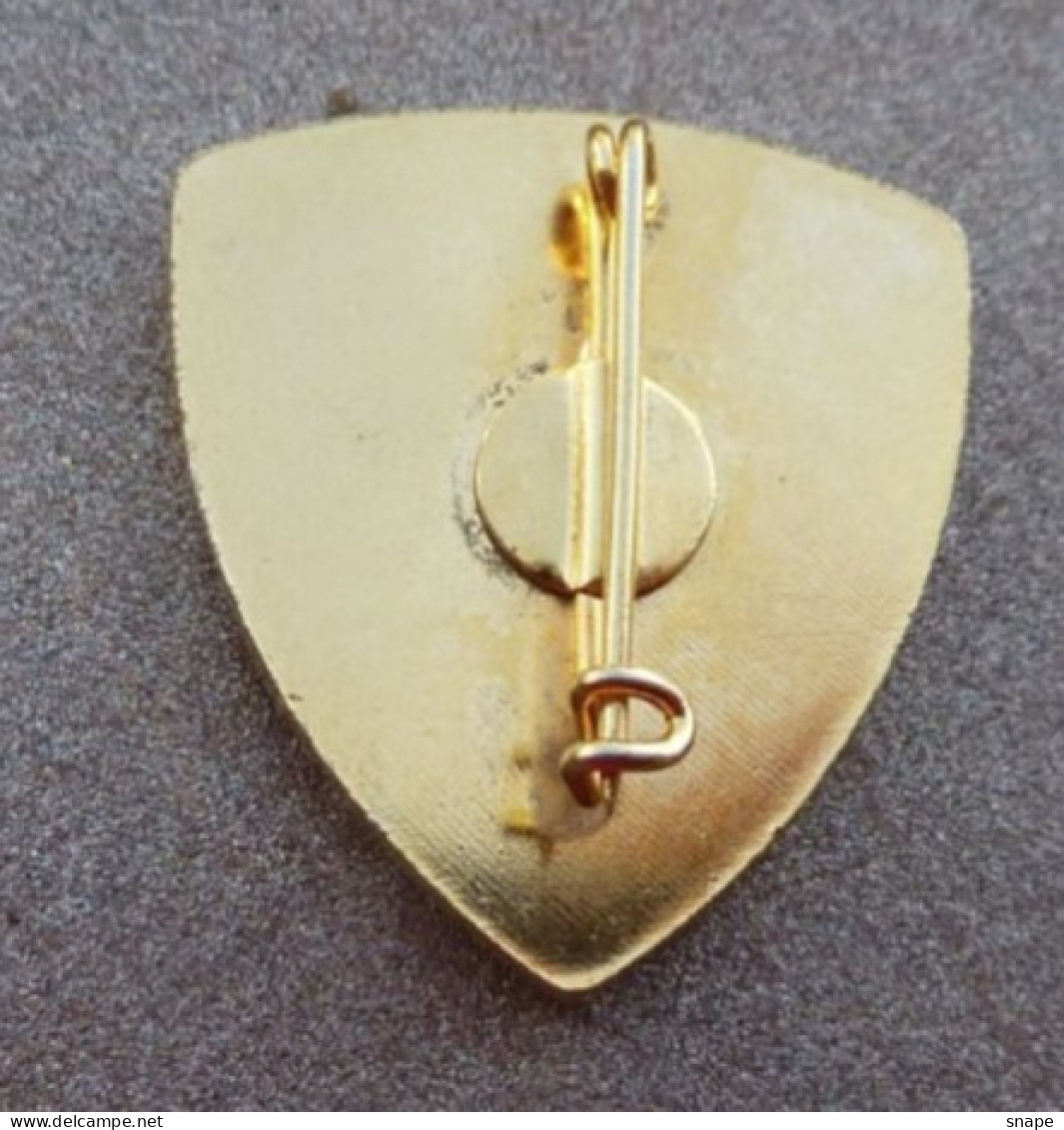 DISTINTIVO Vetrificato A Spilla TELEFONISTA  - Esercito Italiano Incarichi - Italian Army Pinned Badge - Used (286) - Army