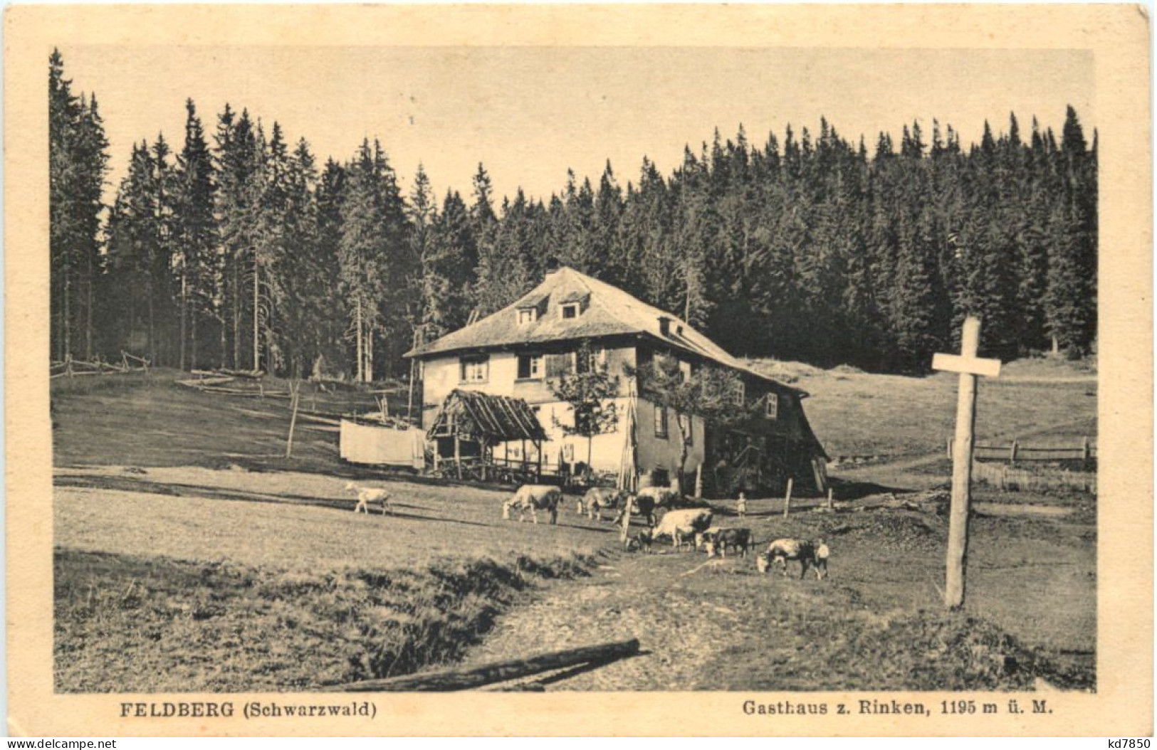 Feldberg - Gasthaus Zum Rinken - Feldberg