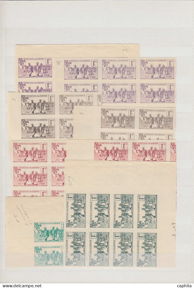 ESS ALGERIE - Lots & Collections - 159/62, Important Stock De + 850 Essais De Couleurs En Blocs Et Unités (papier Et Cou - Other & Unclassified