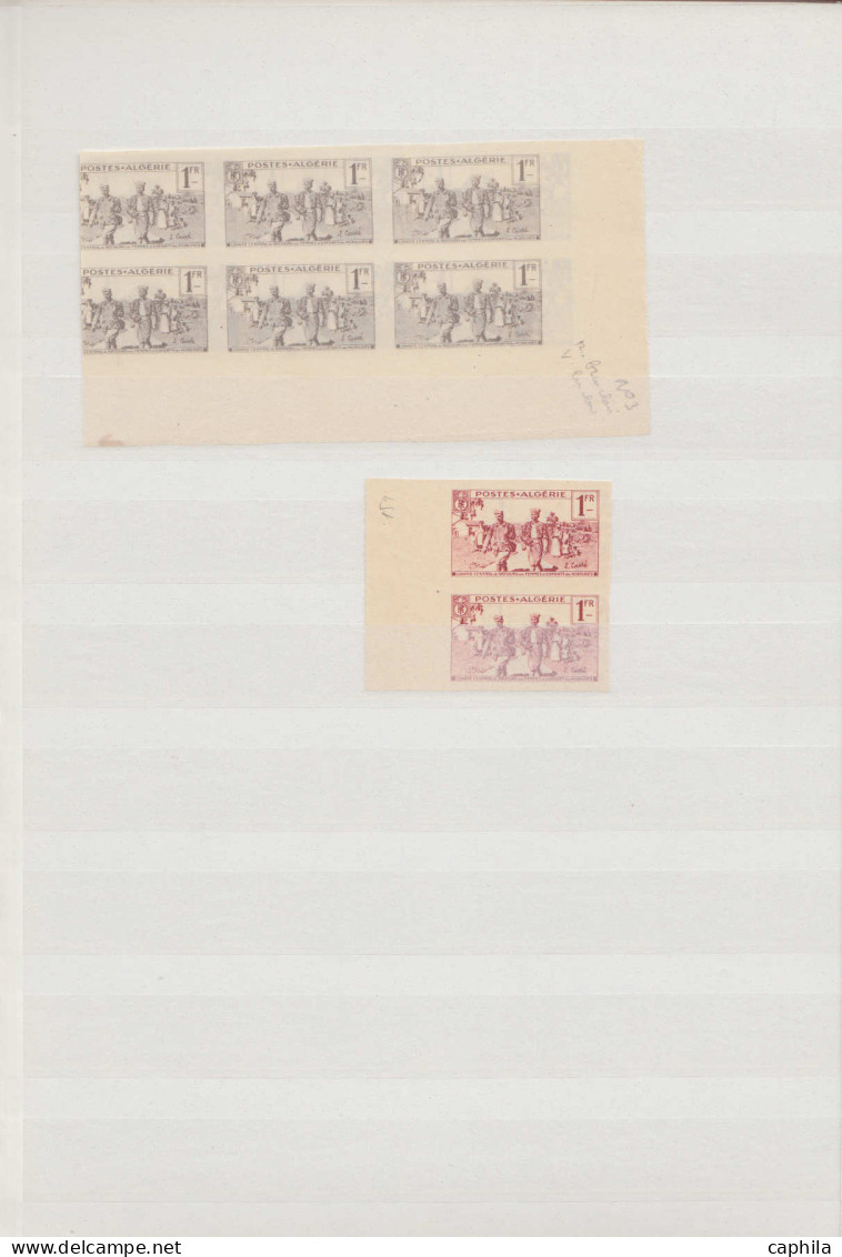 ESS ALGERIE - Lots & Collections - 159/62, important stock de + 850 essais de couleurs en blocs et unités (papier et cou