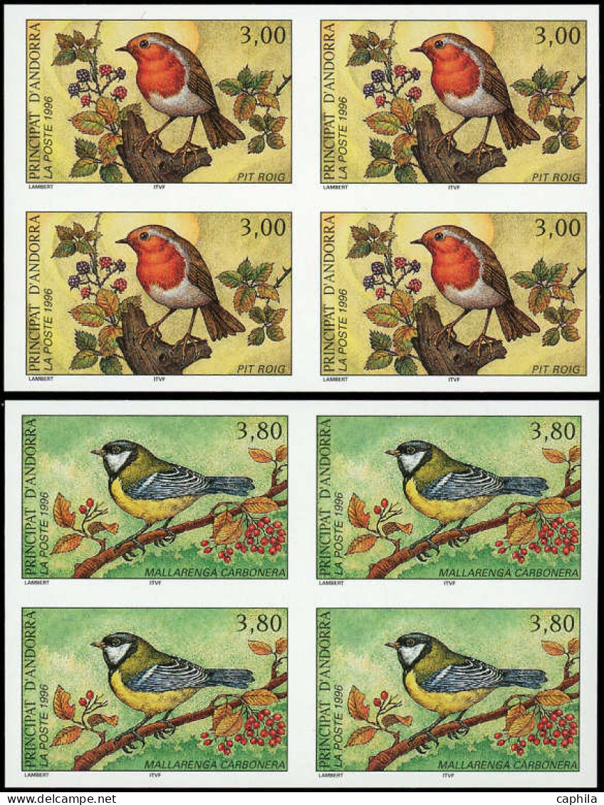 ** ANDORRE - Poste - 470/71, 2 Blocs De 4 Non Dentelés: Oiseaux (Maury) - Sonstige & Ohne Zuordnung