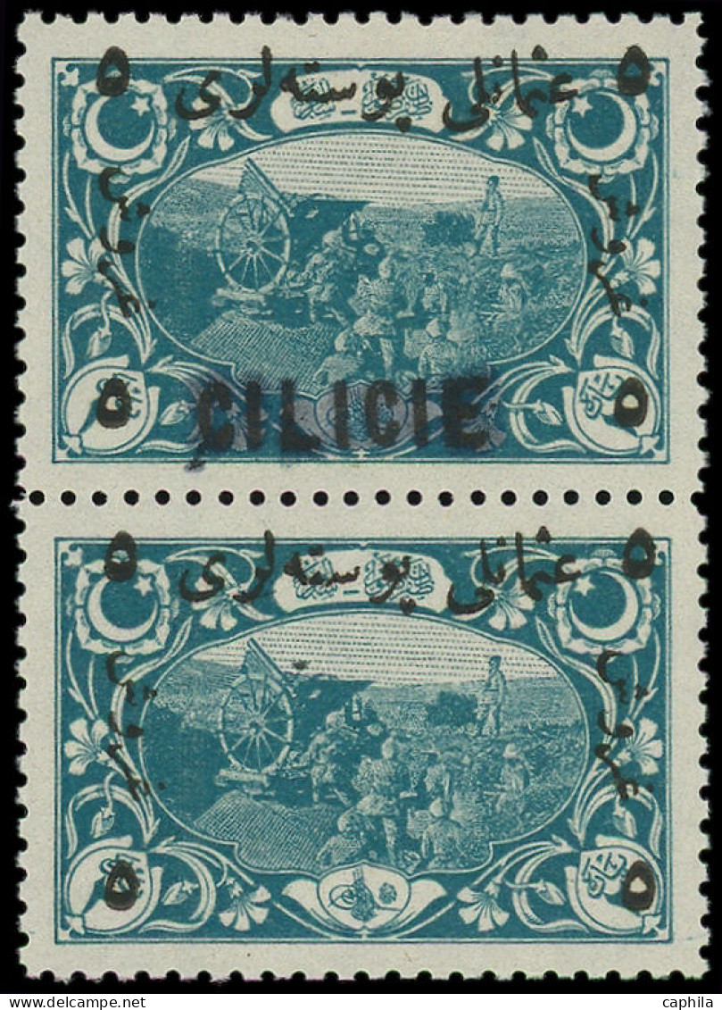 ** CILICIE - Poste - 21, Paire Dont 1 Ex Sans Cilicie (normal *): 5pi. S. 2pa. Bleu Vert - Unused Stamps