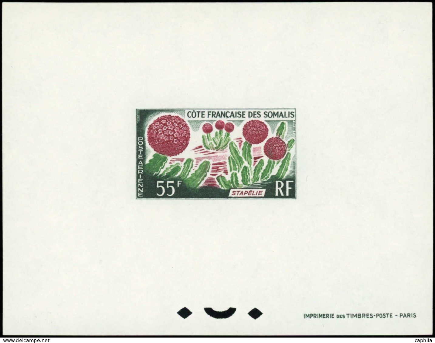 EPL COTE DES SOMALIS - Poste Aérienne - 47, épreuve De Luxe: Cactus, Stapélie - Unused Stamps