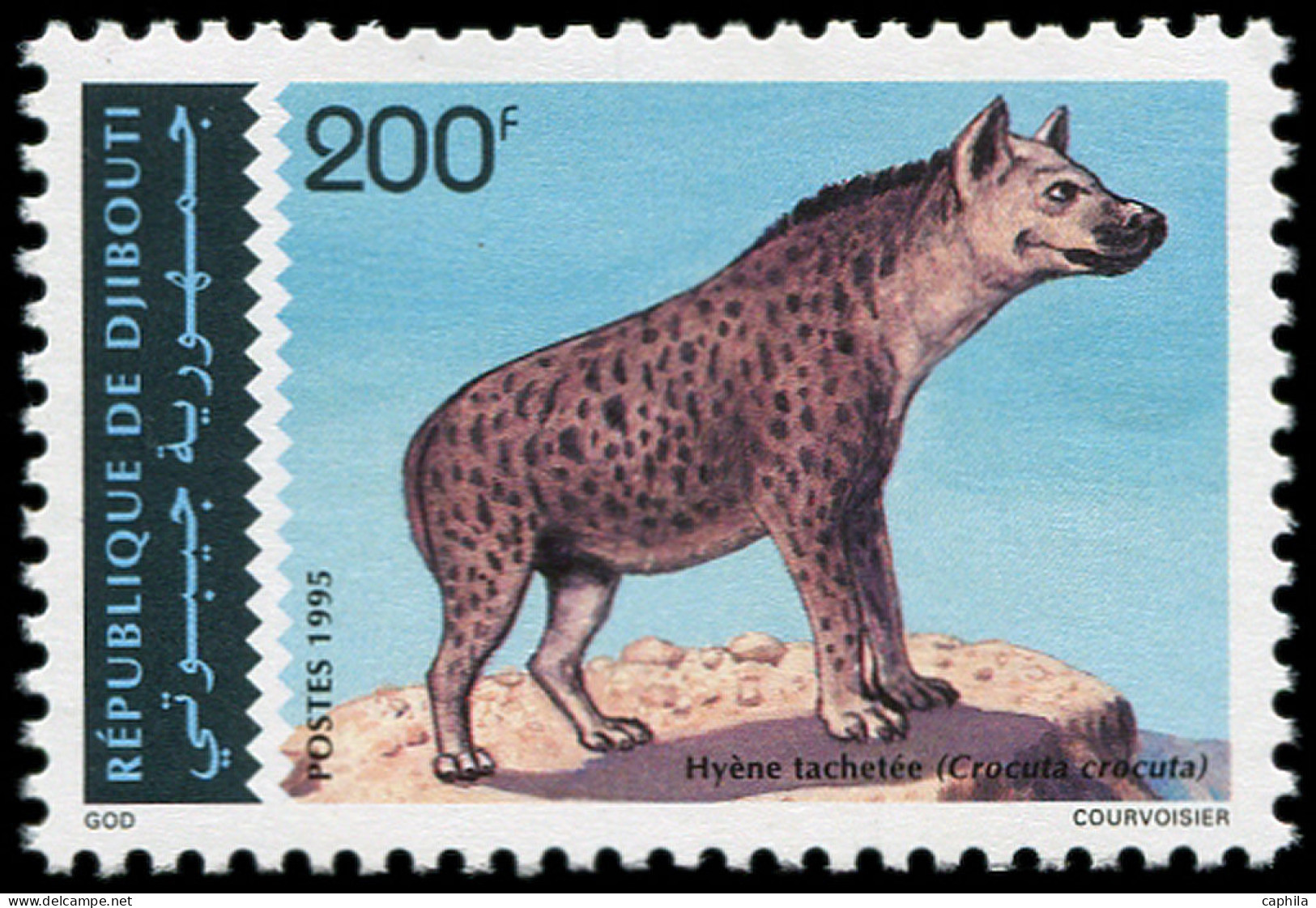 ** DJIBOUTI - Poste - 719CB, Hyène (Michel 614) - Djibouti (1977-...)
