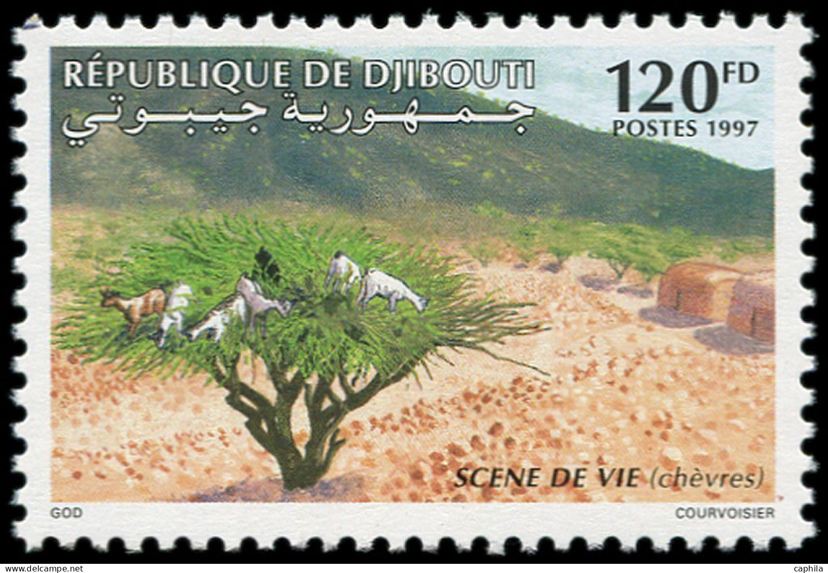 ** DJIBOUTI - Poste - 719X, Chèvres (Michel 643) - Dschibuti (1977-...)