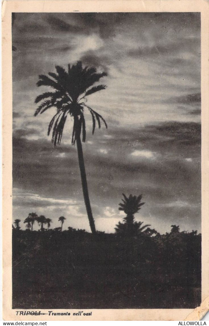 27023 " TRIPOLI-TRAMONTO NELL'OASI " -VERA FOTO-CART. POST. SPED.1934 - Libya