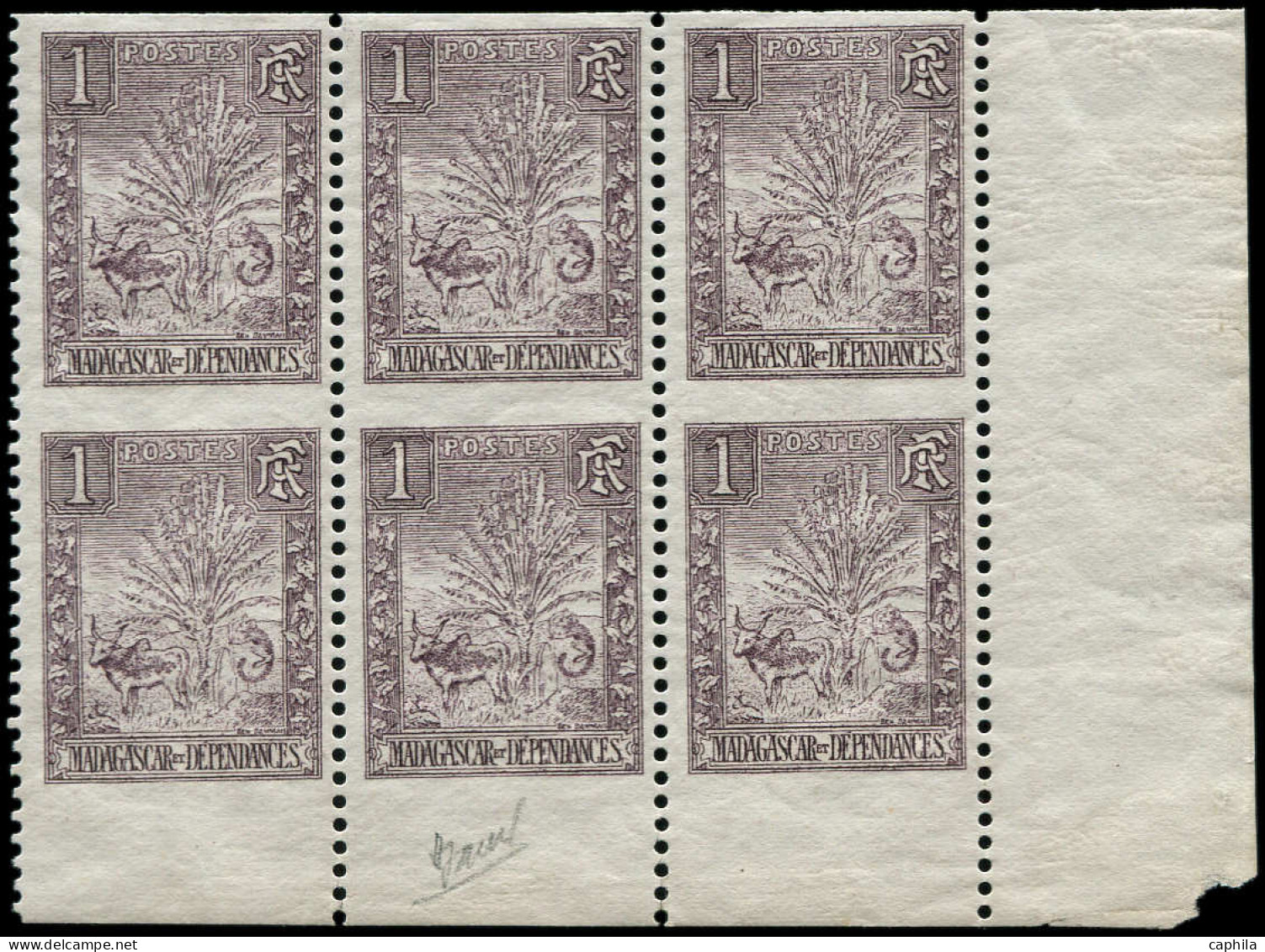 ** MADAGASCAR - Poste - 63, Bloc De 6 Dentelé "2 Côtés", Cdf: Zébu (Maury) - Unused Stamps