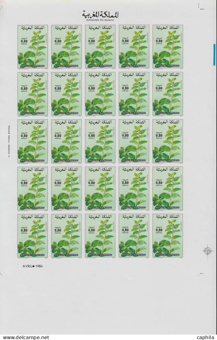 ** MAROC - Lots & Collections - Collection de 74 feuilles entières de 25 non dentelées (soit 1850 timbres) période 1981/