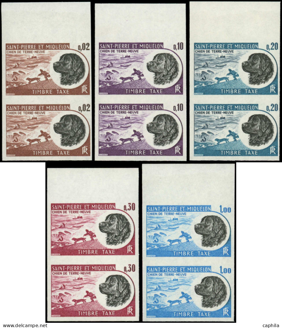 ** SAINT PIERRE & MIQUELON - Taxe - 77/81, Série Complète De 5 Paires Non Dentelées: Chien De Terre-Neuve (Maury) - Timbres-taxe