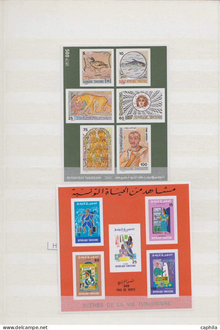 ** TUNISIE - Lots & Collections - Lot de 210 timbres + 9 Bf de Tunisie + 80 timbres d'Algérie, Ex. archives Fournier 197