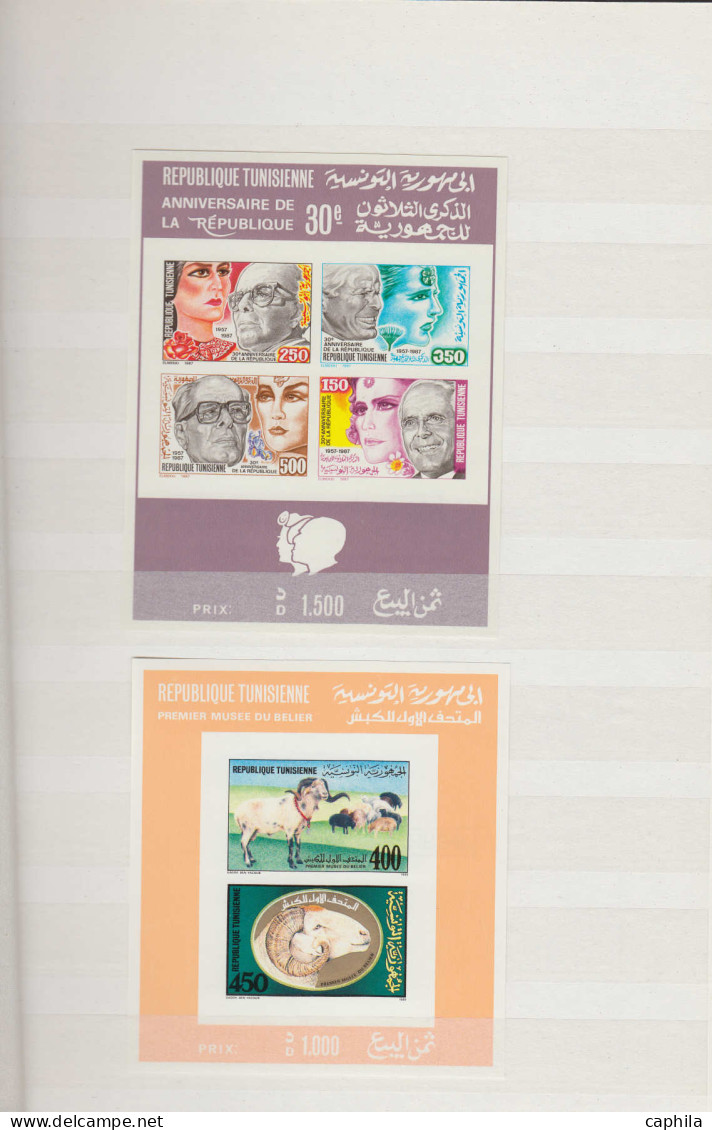 ** TUNISIE - Lots & Collections - Lot de 210 timbres + 9 Bf de Tunisie + 80 timbres d'Algérie, Ex. archives Fournier 197