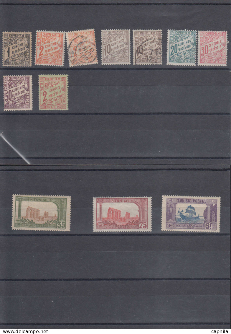 LOT TUNISIE - Lots & Collections - Collection De Variétés, épreuves De Luxe, Non Dentelés, Sur Pages Et Plaquettes Noire - Other & Unclassified