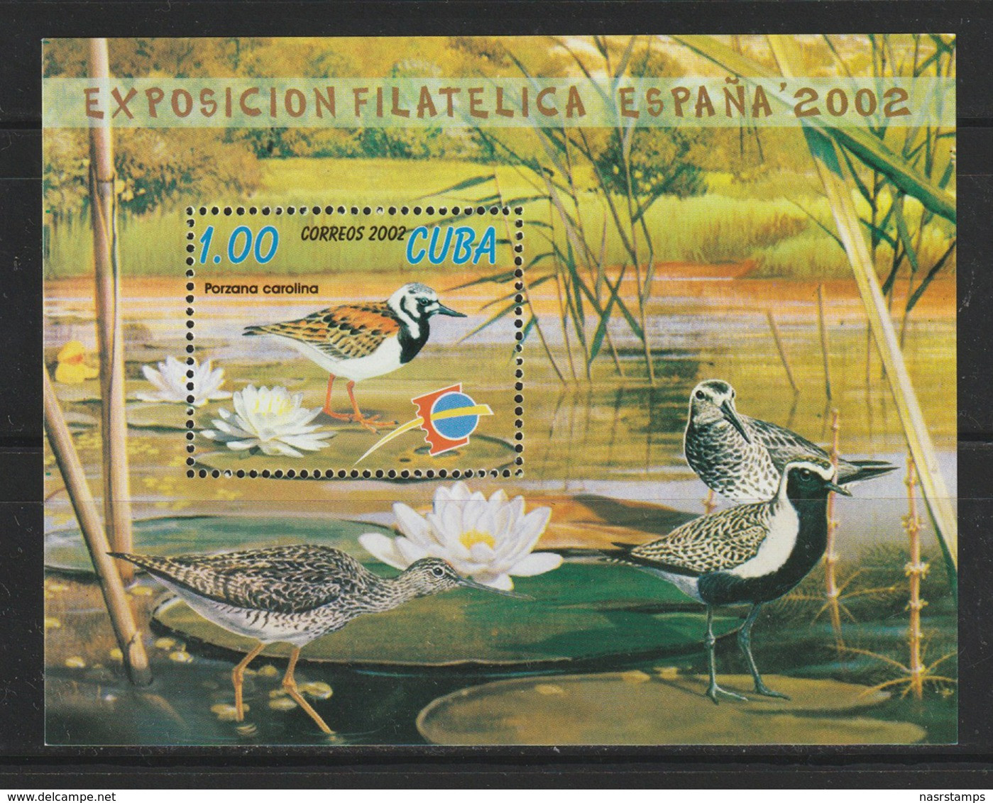 Cuba - 2002 - ( Birds - Espan ̃a 2002 Youth Philatelic Exposition, Salamanca ) - MNH (**) - Canards