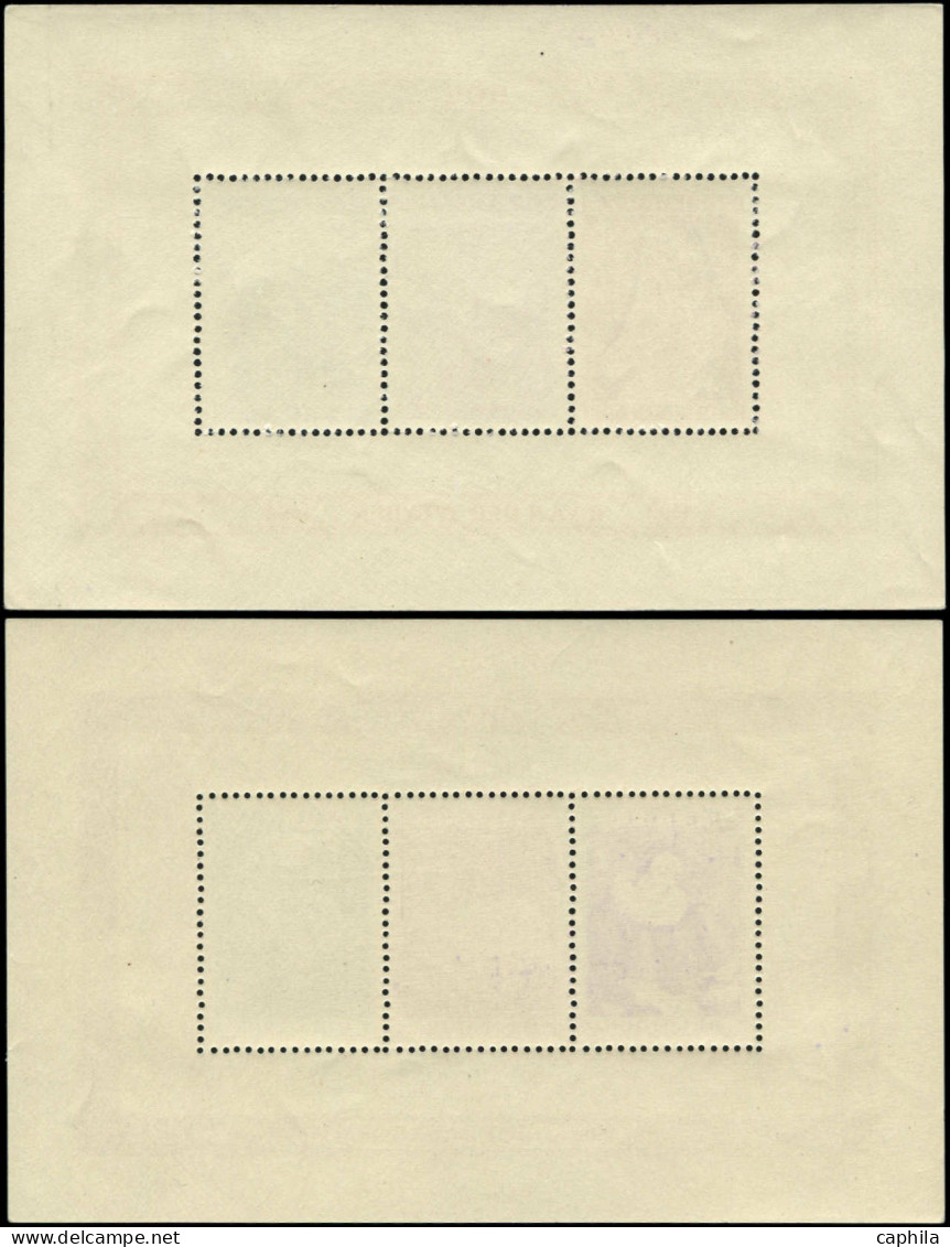 ** BELGIQUE - Blocs Feuillets - 27/28, 2 Bf: Oeuvres Culturelles - Other & Unclassified