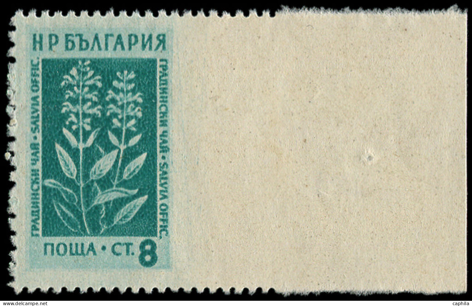 ** BULGARIE - Poste - 772, Non Dentelé à Droite, Grand Bdf: 8s. Palvia Officinalis - Altri & Non Classificati