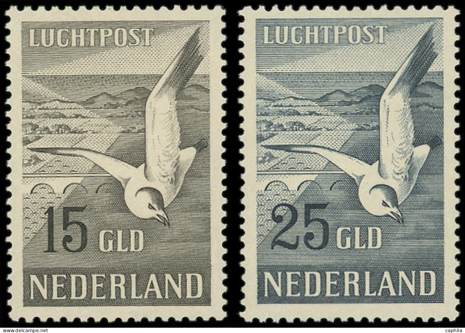 ** PAYS BAS - Poste Aérienne - 12/13, Luxe: Mouette - Airmail