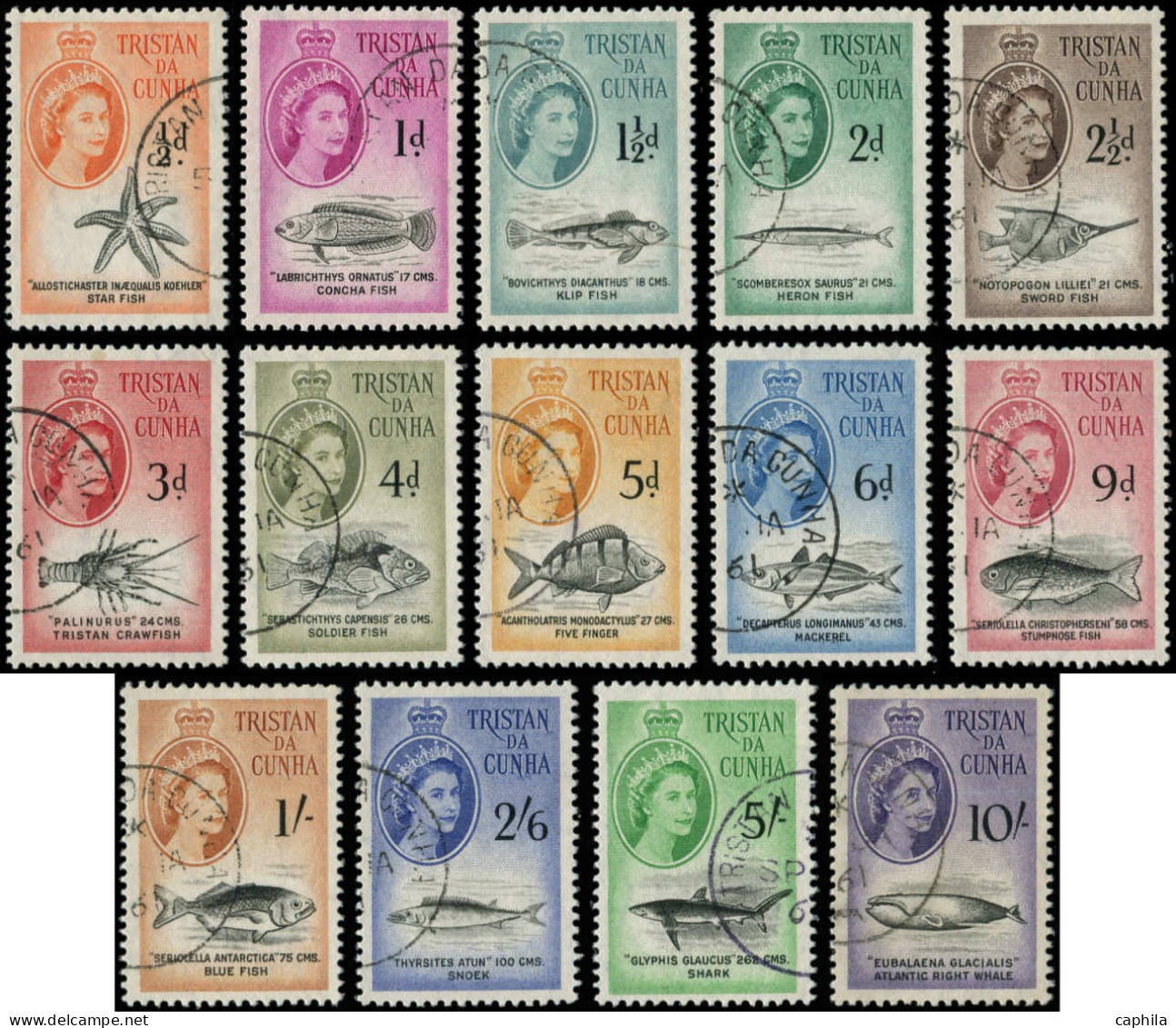 O TRISTAN DA CUNHA - Poste - 28/41, Complet 14 Valeurs: Elizabeth II, Animaux Marins - Tristan Da Cunha
