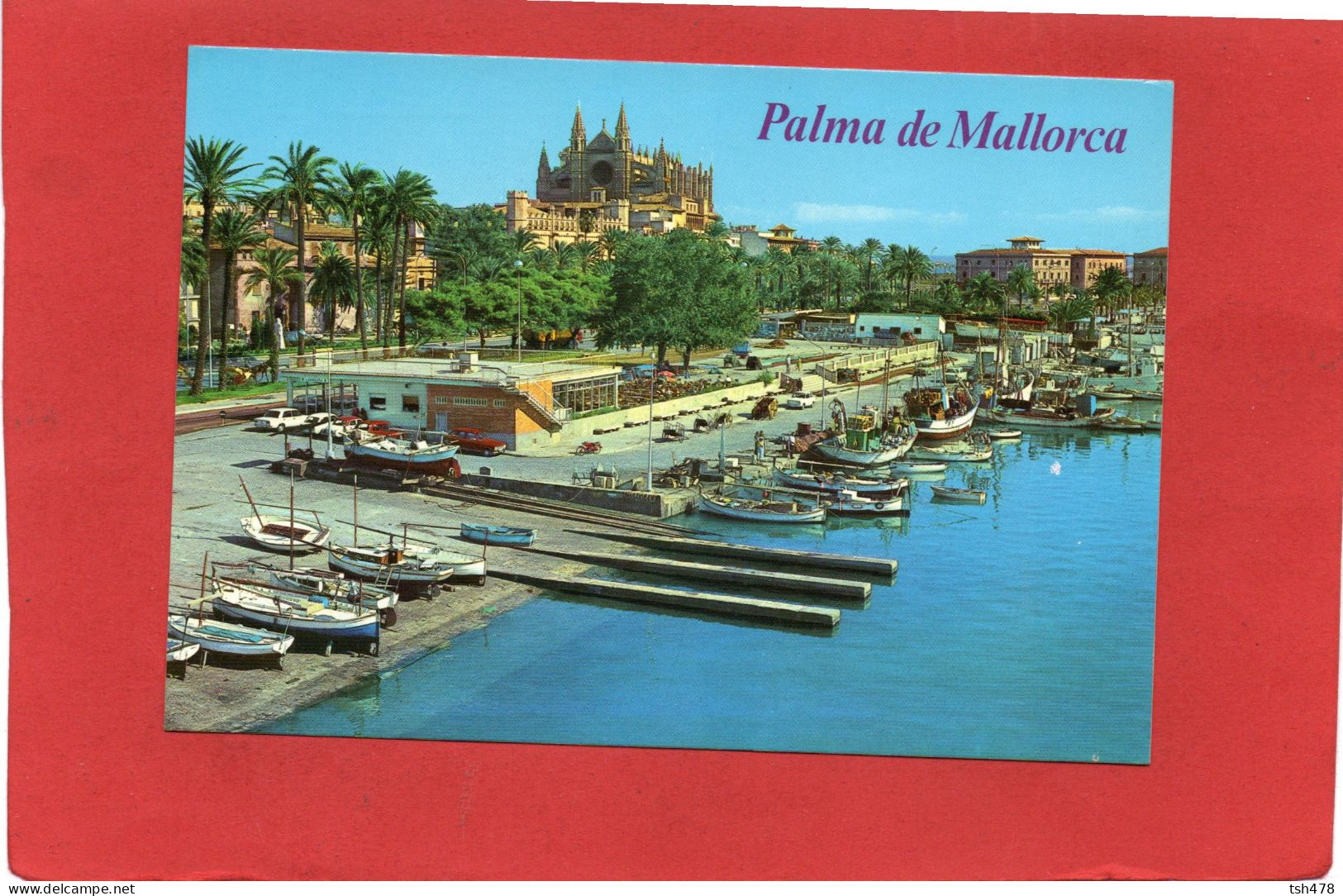 ESPAGNE---PALMA DE  MALLORCA--Puerto Pesquero---catedral--Palma De Mallorca---voir 2 Scans - Palma De Mallorca
