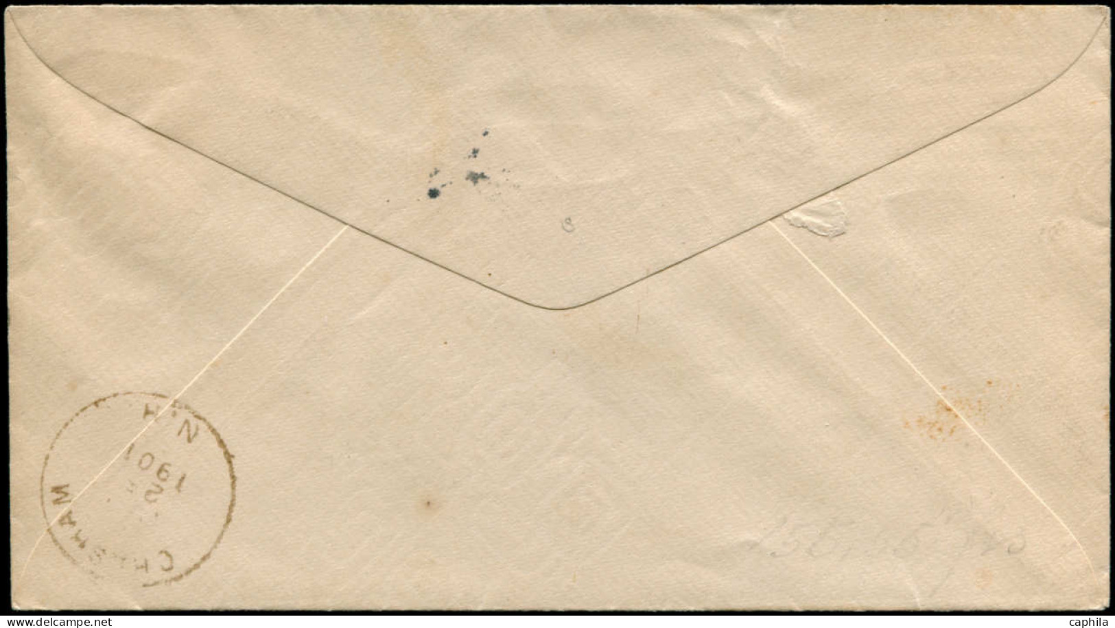 LET Insectes - Poste - USA, Enveloppe 2c. Rouge, Cad. Boston 29/7/01: "Goodridge", Illustré D'un Criquet (insecte) - Autres & Non Classés