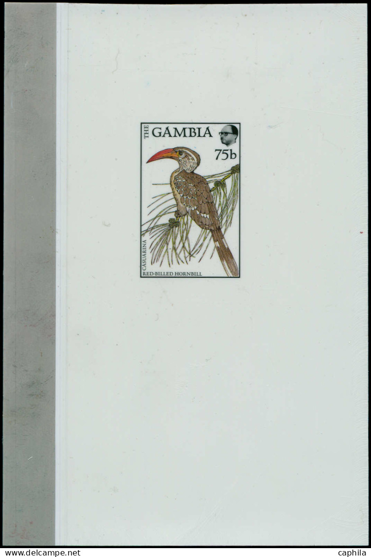 EPA Oiseaux - Poste - Gambie, Yvert 698, épreuve Sur Rhodoïd En Couleurs Originales (unique): 75b. Hornbill - Other & Unclassified