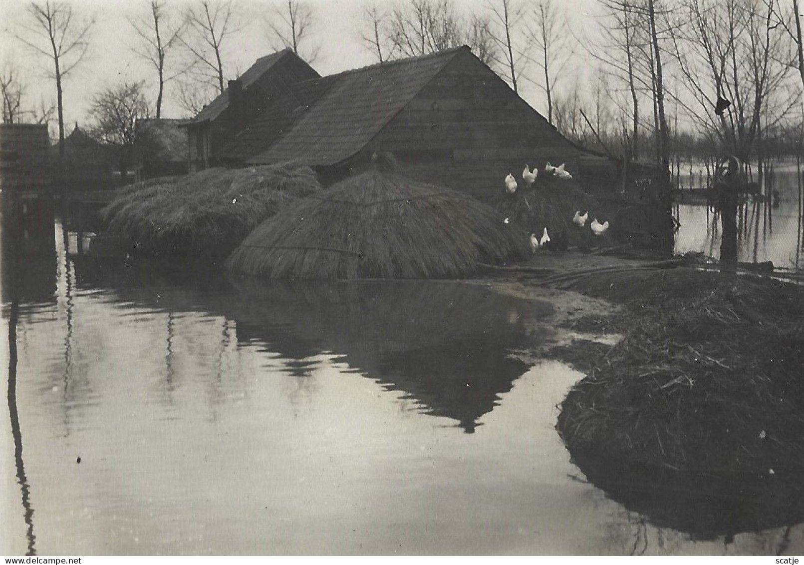 Grembergen.   -   Dendermonde    -   FOTO - Origineel!  (12 X 9) Cm   -   Overstroming  1929 - Dendermonde