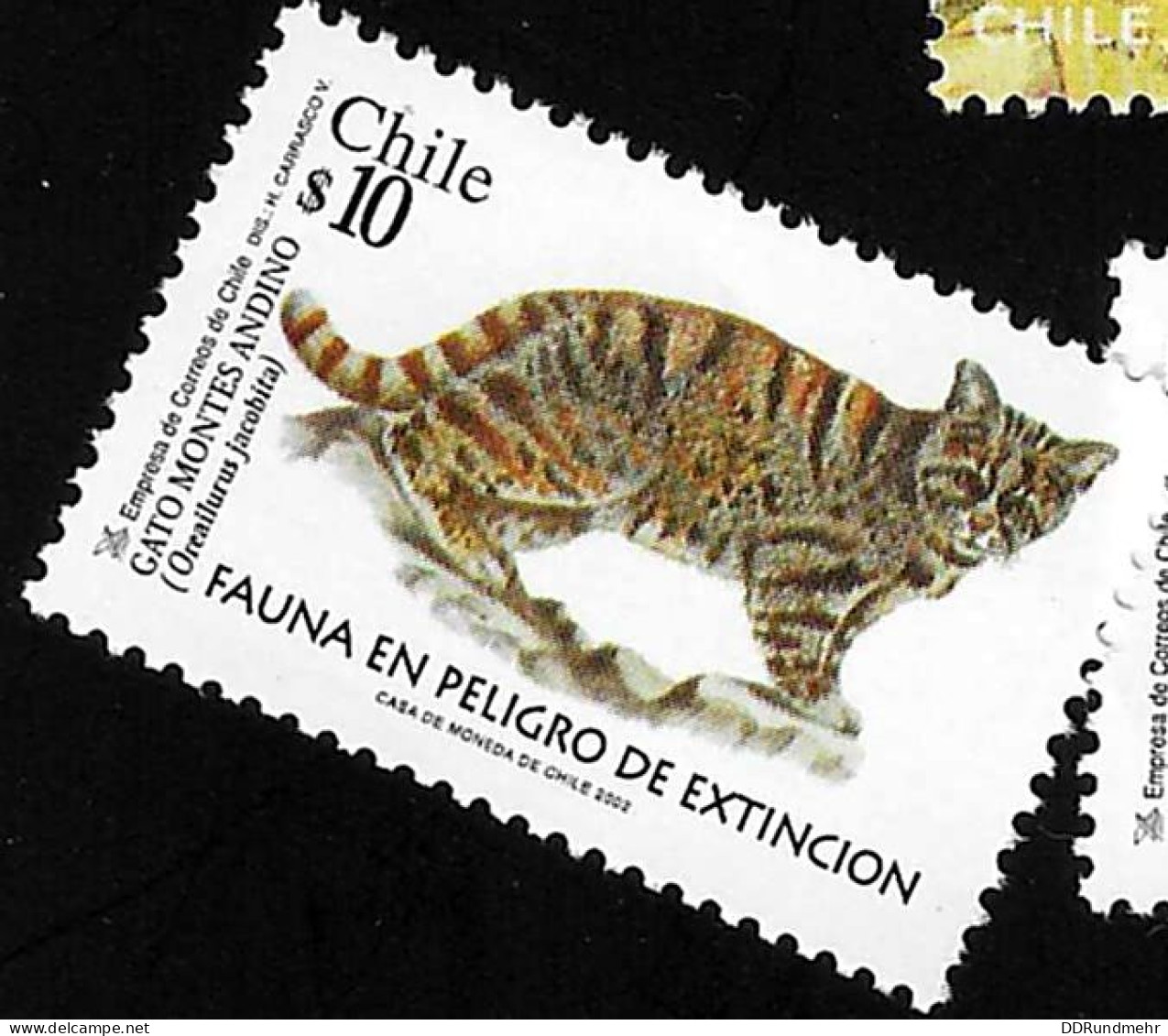 2002 Wild Cats  Michel CL 2069 - 2070 Stamp Number CL 1394 - 1395 Yvert Et Tellier CL 1636 - 1637 Xx MNH - Chile