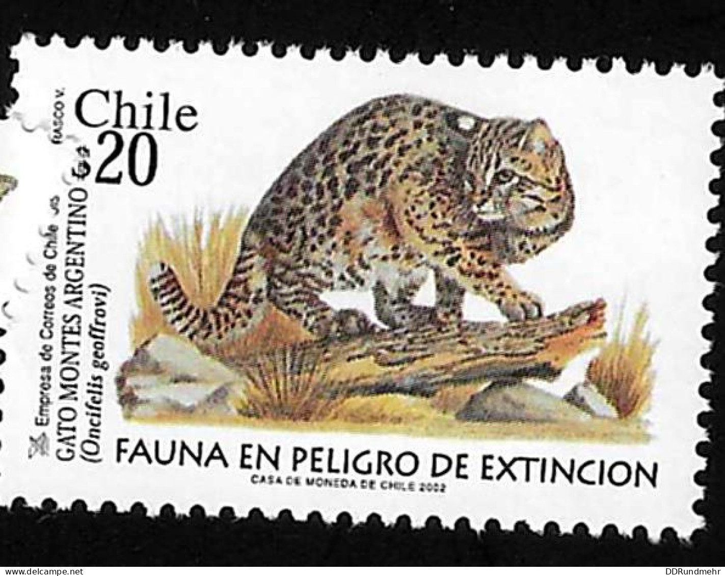 2002 Wild Cats  Michel CL 2069 - 2070 Stamp Number CL 1394 - 1395 Yvert Et Tellier CL 1636 - 1637 Xx MNH - Chile