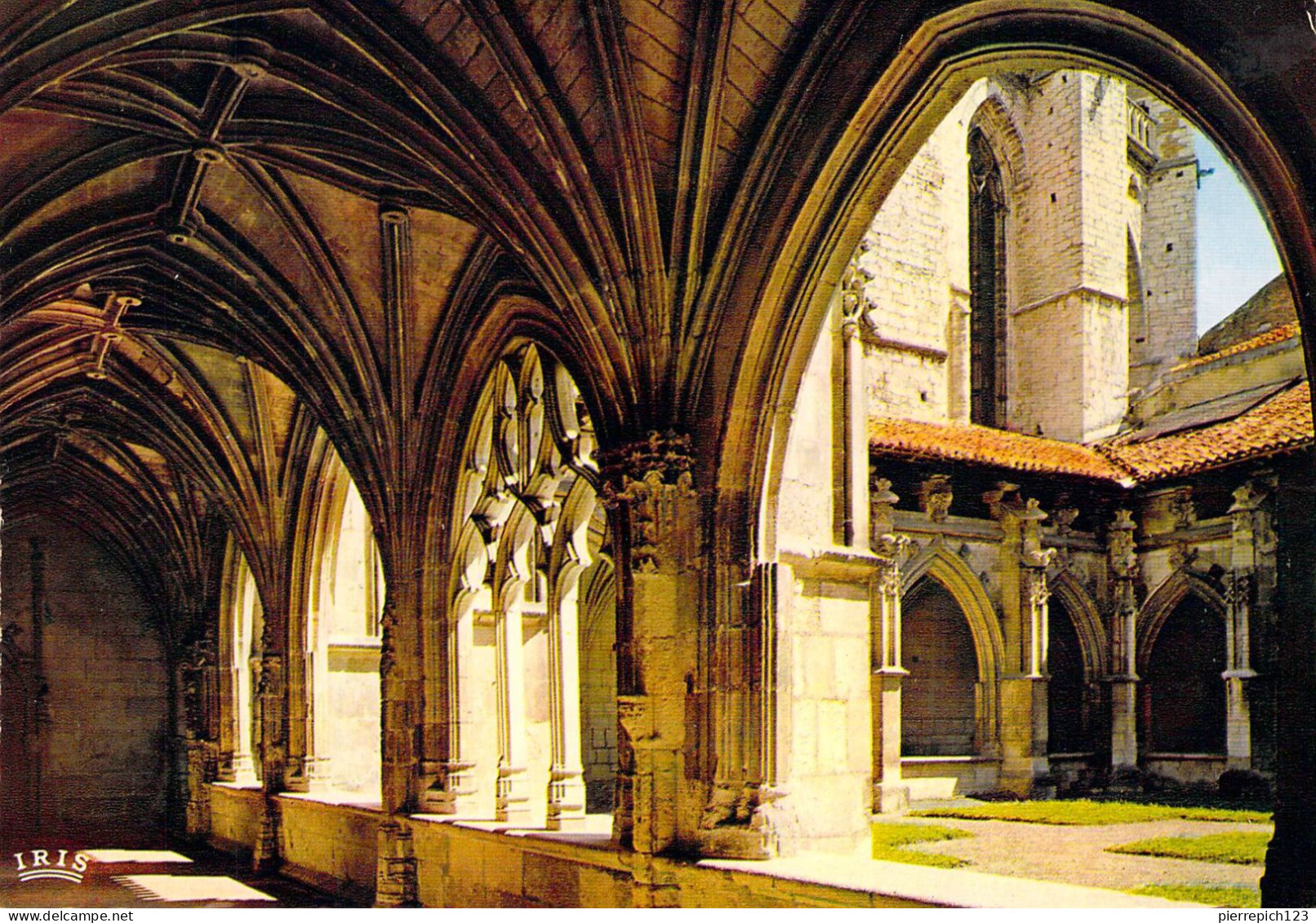 46 - Cahors - La Cathédrale Saint Etienne - Vue Sur Le Cloître (XVIe Siècle) - Cahors