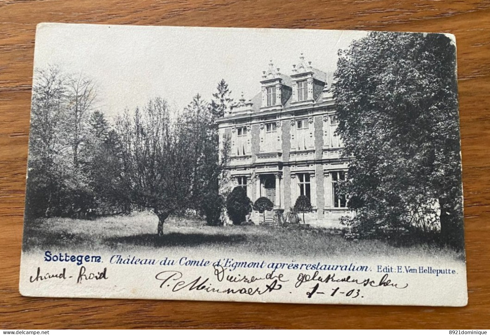 Zottegem - Sottegem. - Château Du Comte D'Egmont Après Restauration. - Edit Van Helleputte - Gelopen 1903 - Zottegem