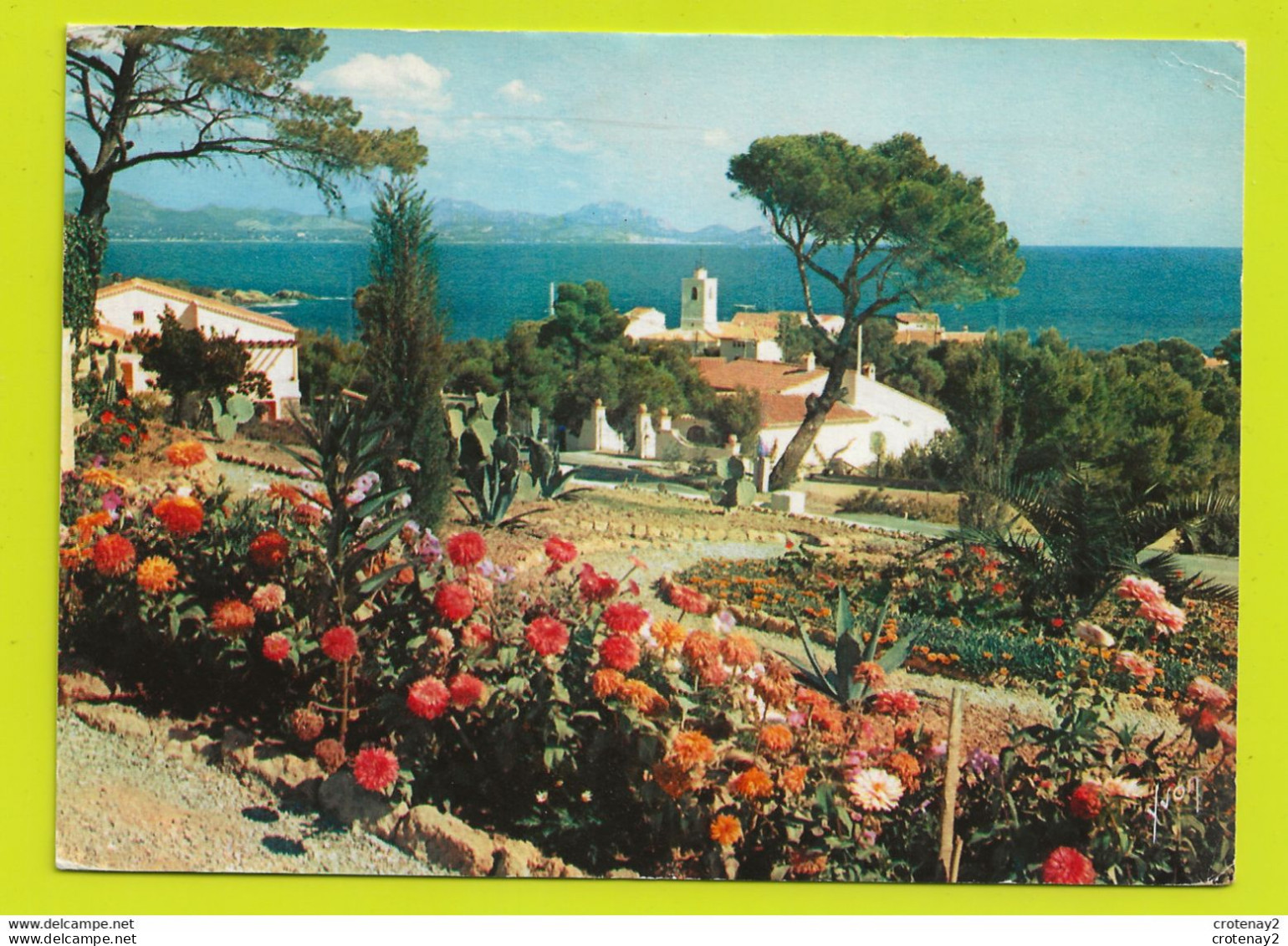 83 CALANQUES DES ISSAMBRES Le Village Dans Une Corbeille De Fleurs Postée De Nice En 1961 - Les Issambres