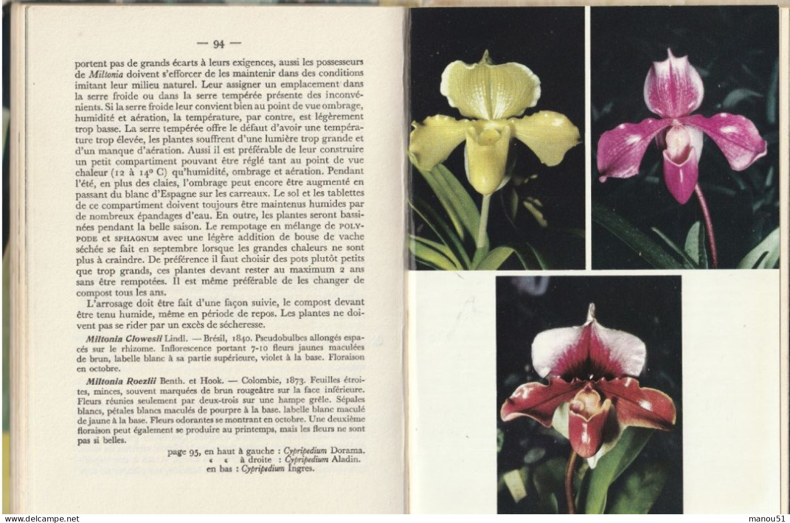 ORCHIDEES - Livre De La Maison Rustique  M.LECOUFLE - H. ROSE - Home Decoration