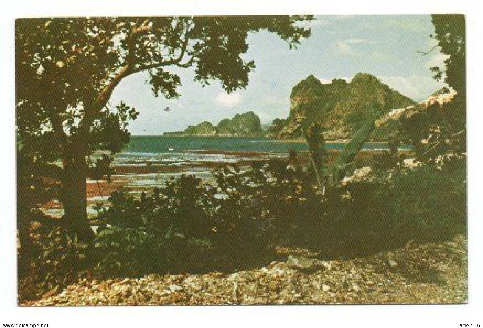 Carte Postale Moderne - 14 Cm X 9 Cm - Non Circulé - NOUVELLE CALEDONIE - Paysage Côte Est - New Caledonia