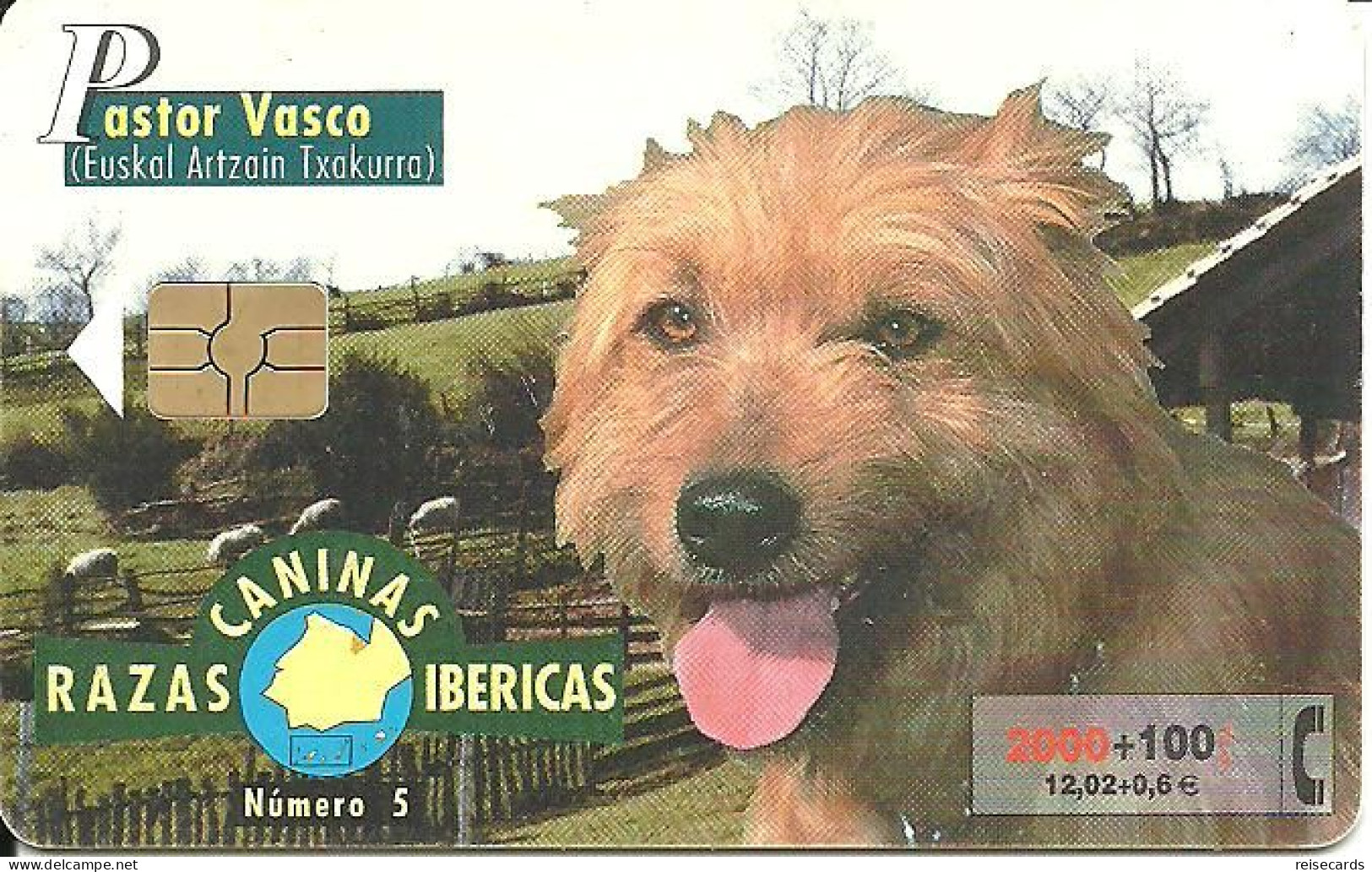 Spain: Telefonica - 2000 Real Sociedad Canina Espanõla, Pastor Vasco - Private Issues