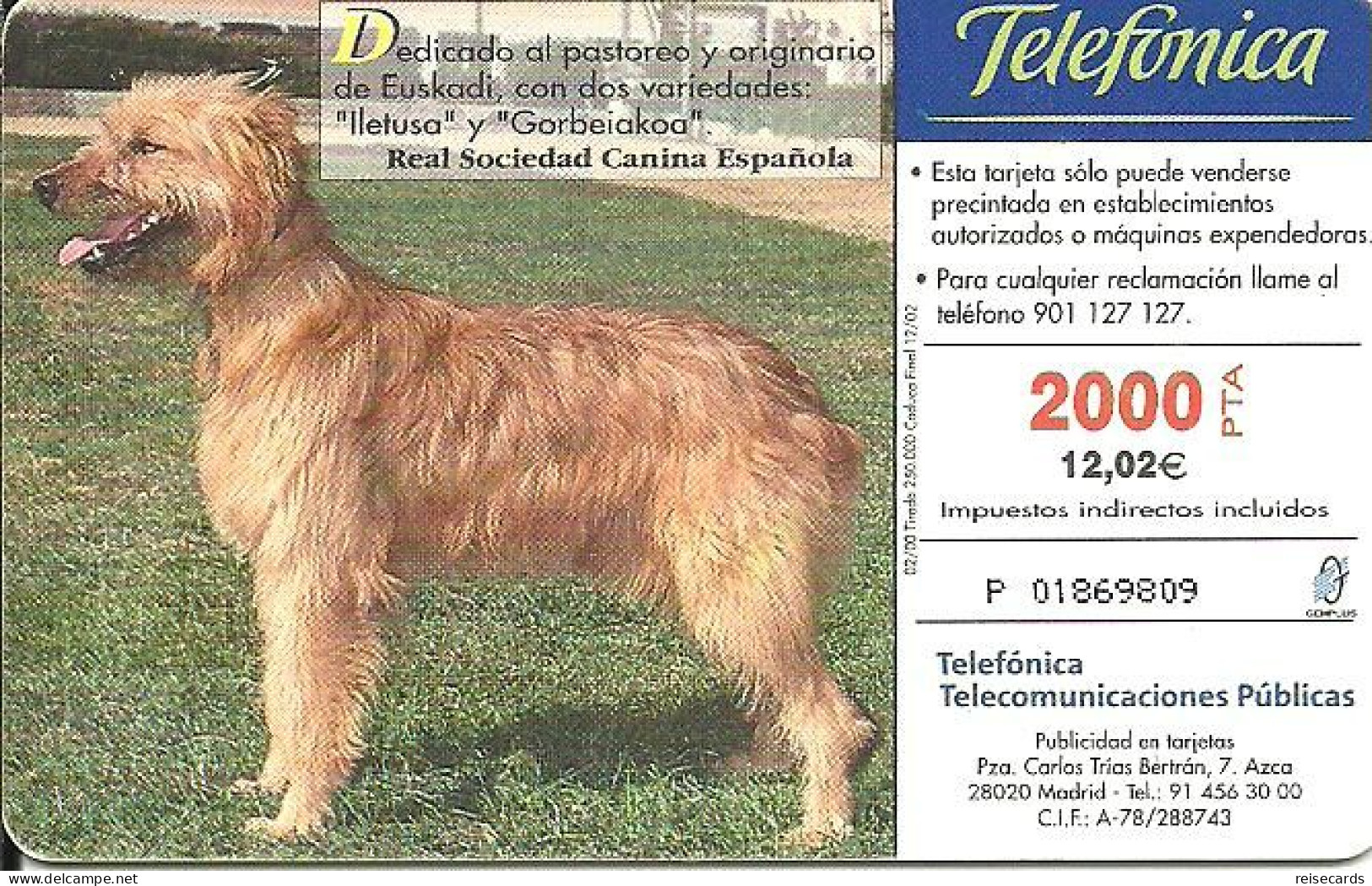Spain: Telefonica - 2000 Real Sociedad Canina Espanõla, Pastor Vasco - Emissions Privées