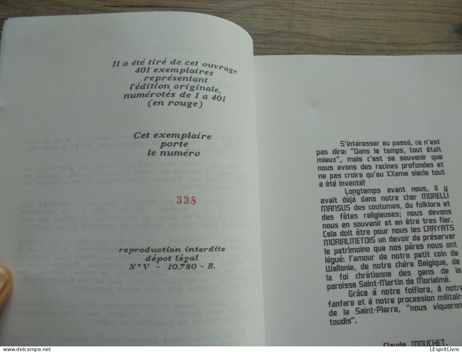 COMPILATION SUR MORIALME Expl 338 / 401 Régionalisme Florennes Eglise Château Guerre 14 18 Toponymie Verrerie Fort Jaco - Belgium