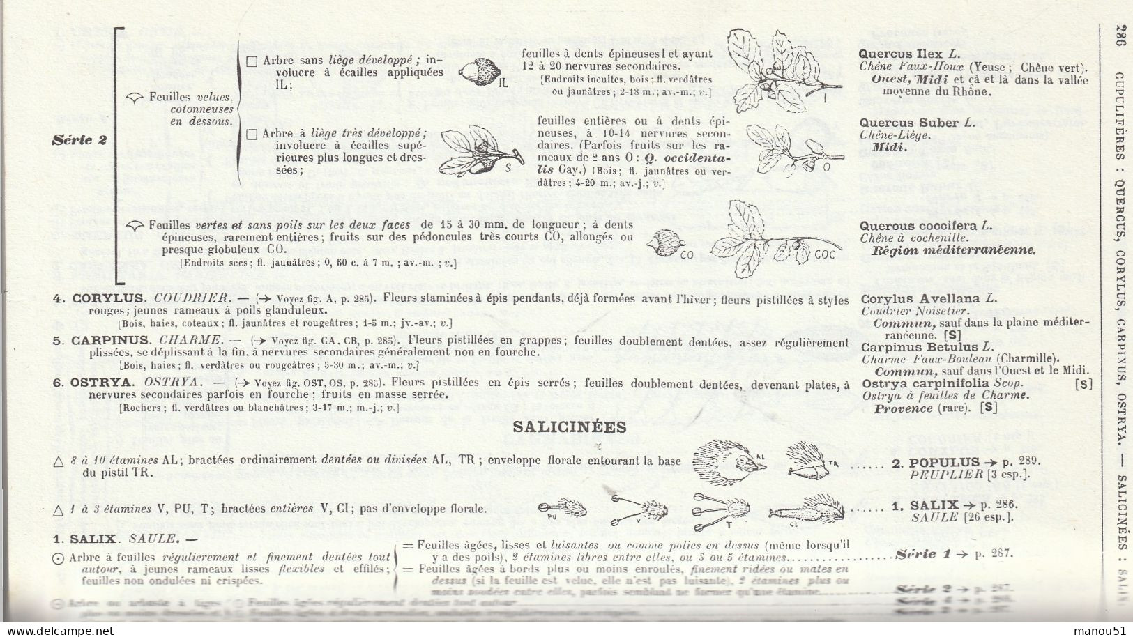 FLORE Complète De La France, De La Suisse Et De La Belgique - Scienza