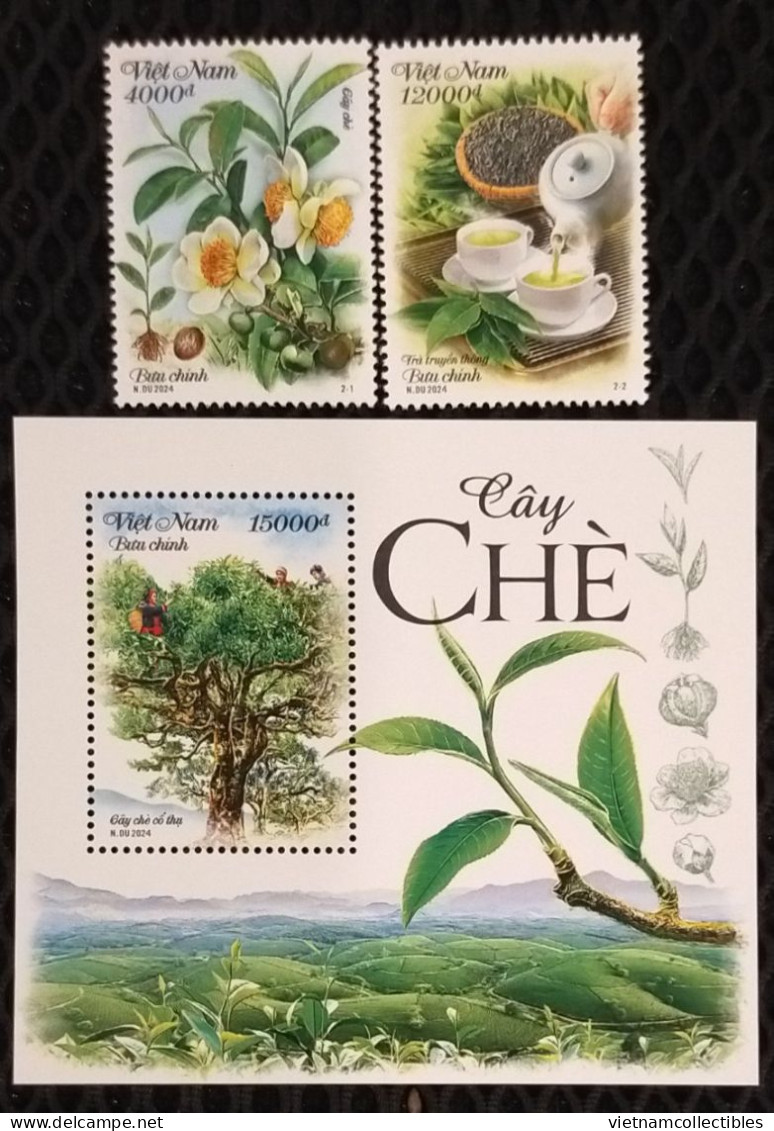 Viet Nam Vietnam MNH Perf Stamps & Souvenir Sheet 2024 : TEA PLANT / Flora / Flower / Fruit (Ms1190) - Viêt-Nam