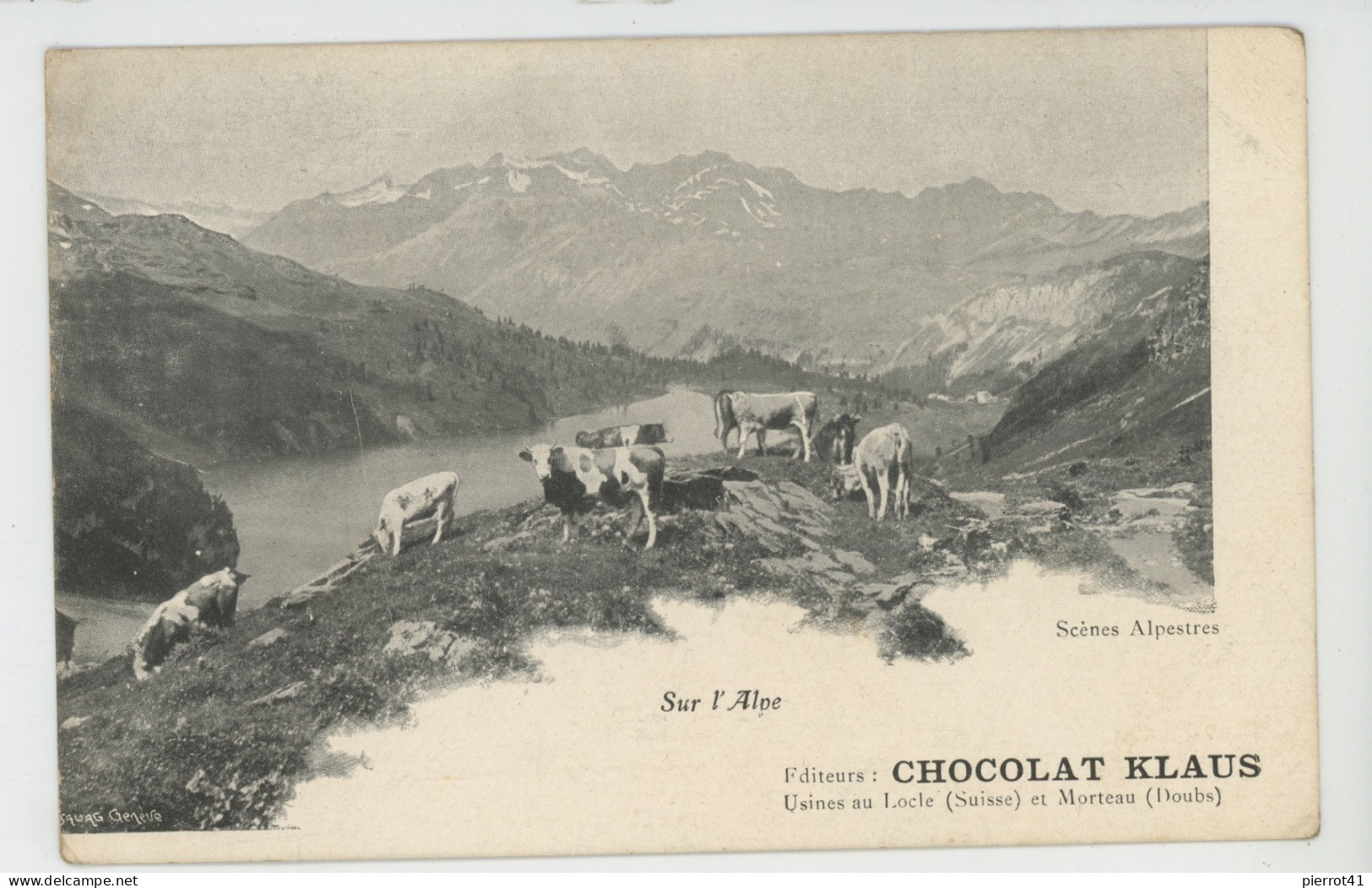 PUBLICITÉ - Carte PUB Pour CHOCOLAT KLAUS - Scènes Alpestres - Sur L'Alpe (vaches) - Usine LE LOCLE (SUISSE) & MORTEAU - Publicité