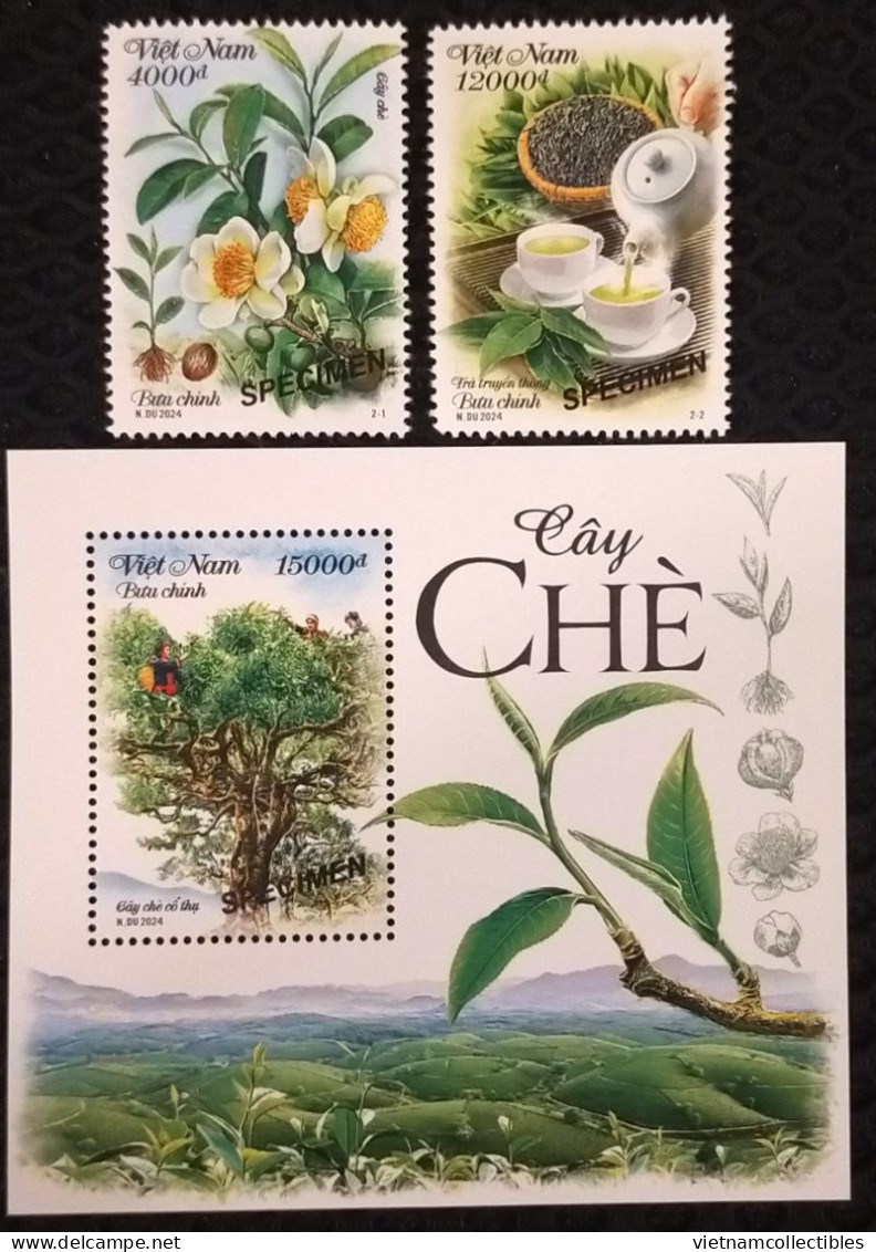 Viet Nam Vietnam MNH Specimen Stamps & SS 2024 :TEA PLANT / Flora / Flower / Fruit (Ms1190) - Viêt-Nam