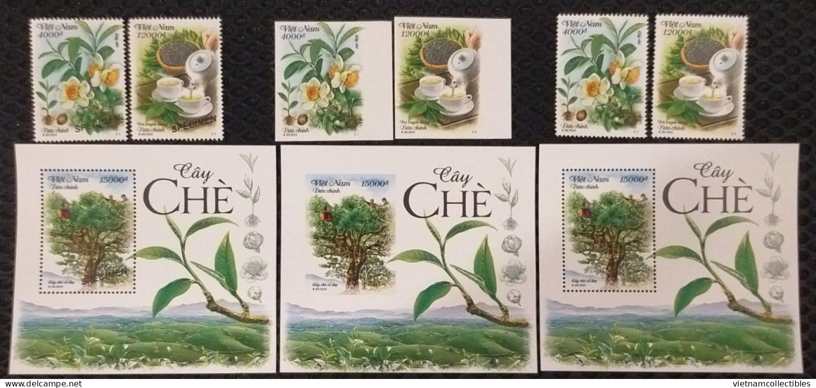 Viet Nam Vietnam MNH Perf, Imperf & Specimen Stamps + SS Issued On Internationa Tea Day / Flora / Flower / Fruit 2024 - Viêt-Nam