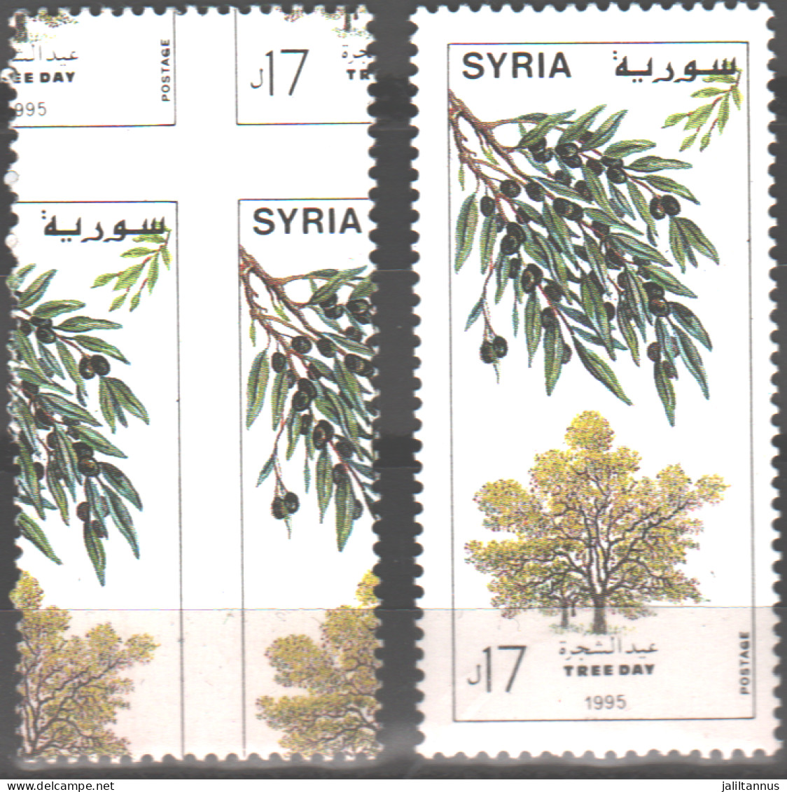Syria - Perforation Error Set OliveTree 1996 Stamp For Comparison MNH - Syrie
