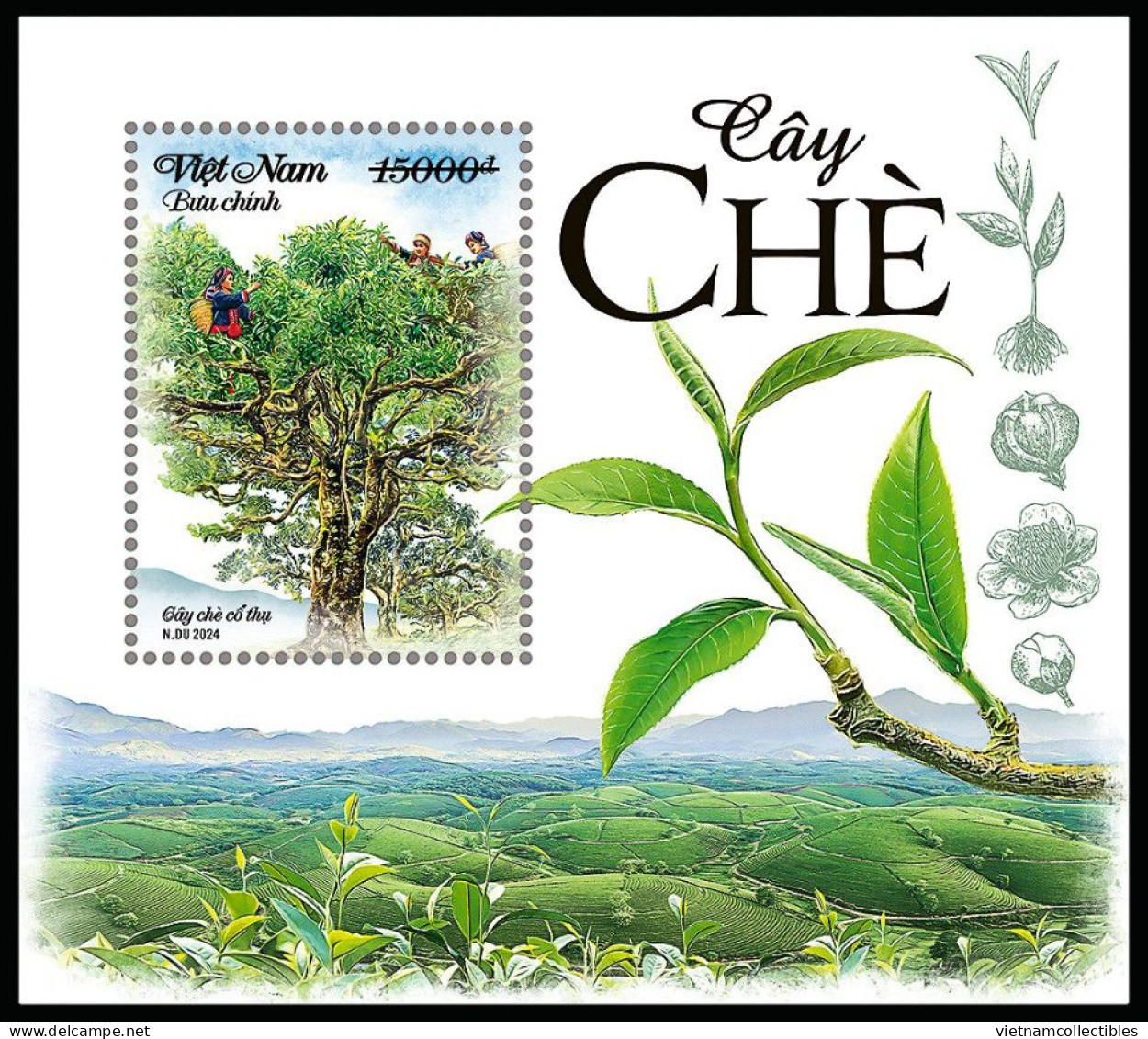 FDC Viet Nam Vietnam With Imperf Stamps & SS Issued On Internationa Tea Day / Flora / Flower / Fruit 2024 - Vietnam