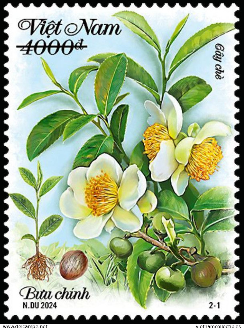 FDC Viet Nam Vietnam With Imperf Stamps & SS Issued On Internationa Tea Day / Flora / Flower / Fruit 2024 - Vietnam