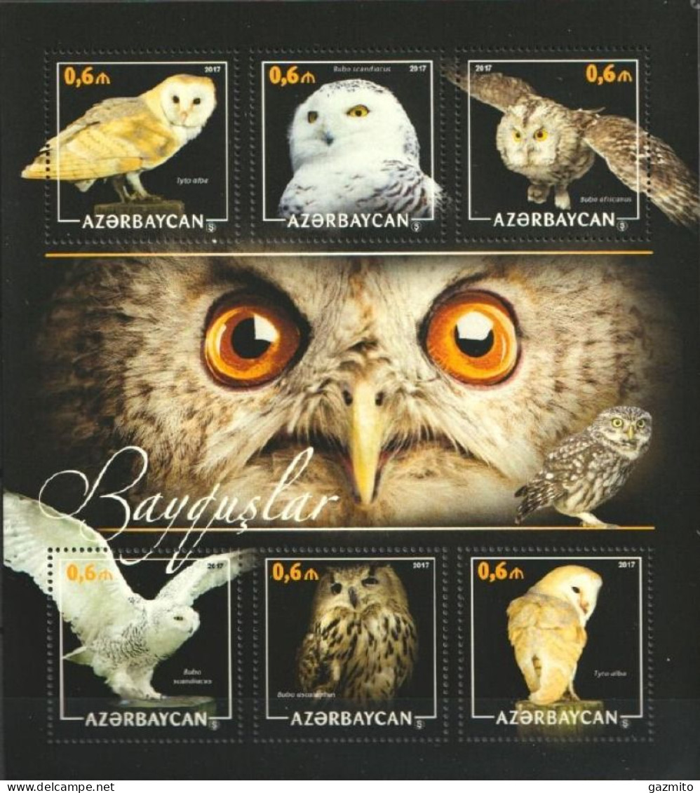 Azerbajan 2017, Animals, Owls, 6val In Block - Owls